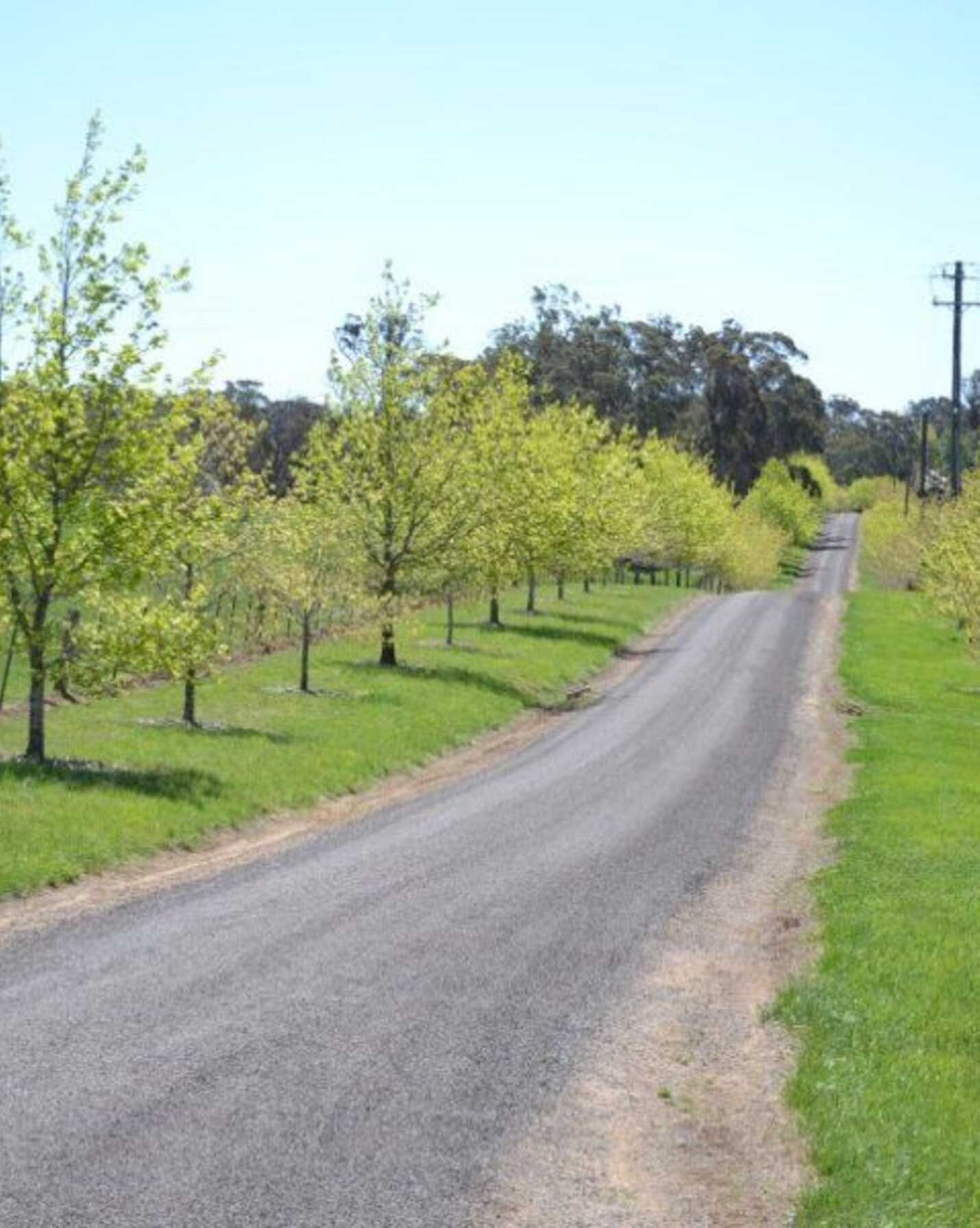 3053 Canyonleigh Road, Sutton Forest - Image 1
