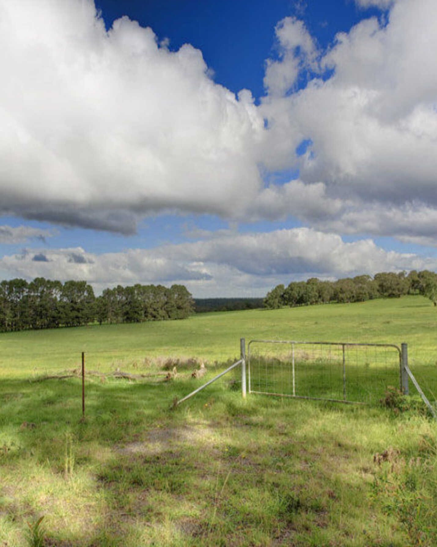 Lot 2 Bumballa Road Wingello, Wingello - Thumbnail 3
