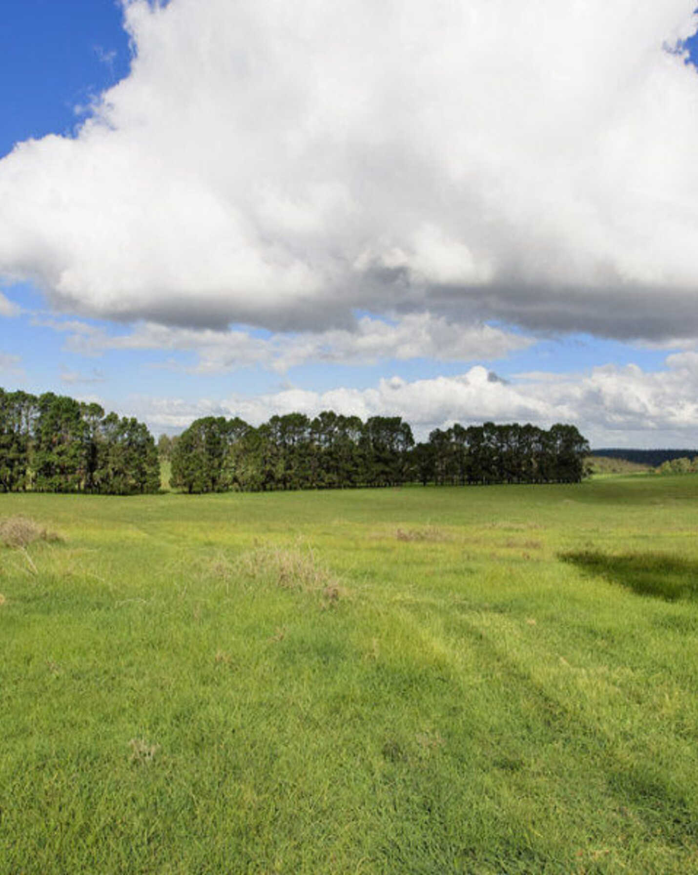 Lot 2 Bumballa Road Wingello, Wingello - Thumbnail 4