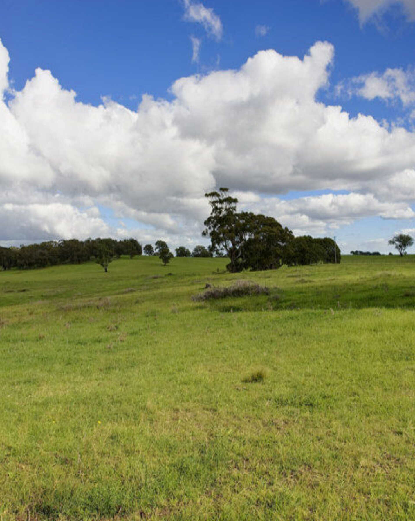 Lot 2 Bumballa Road Wingello, Wingello - Thumbnail 5