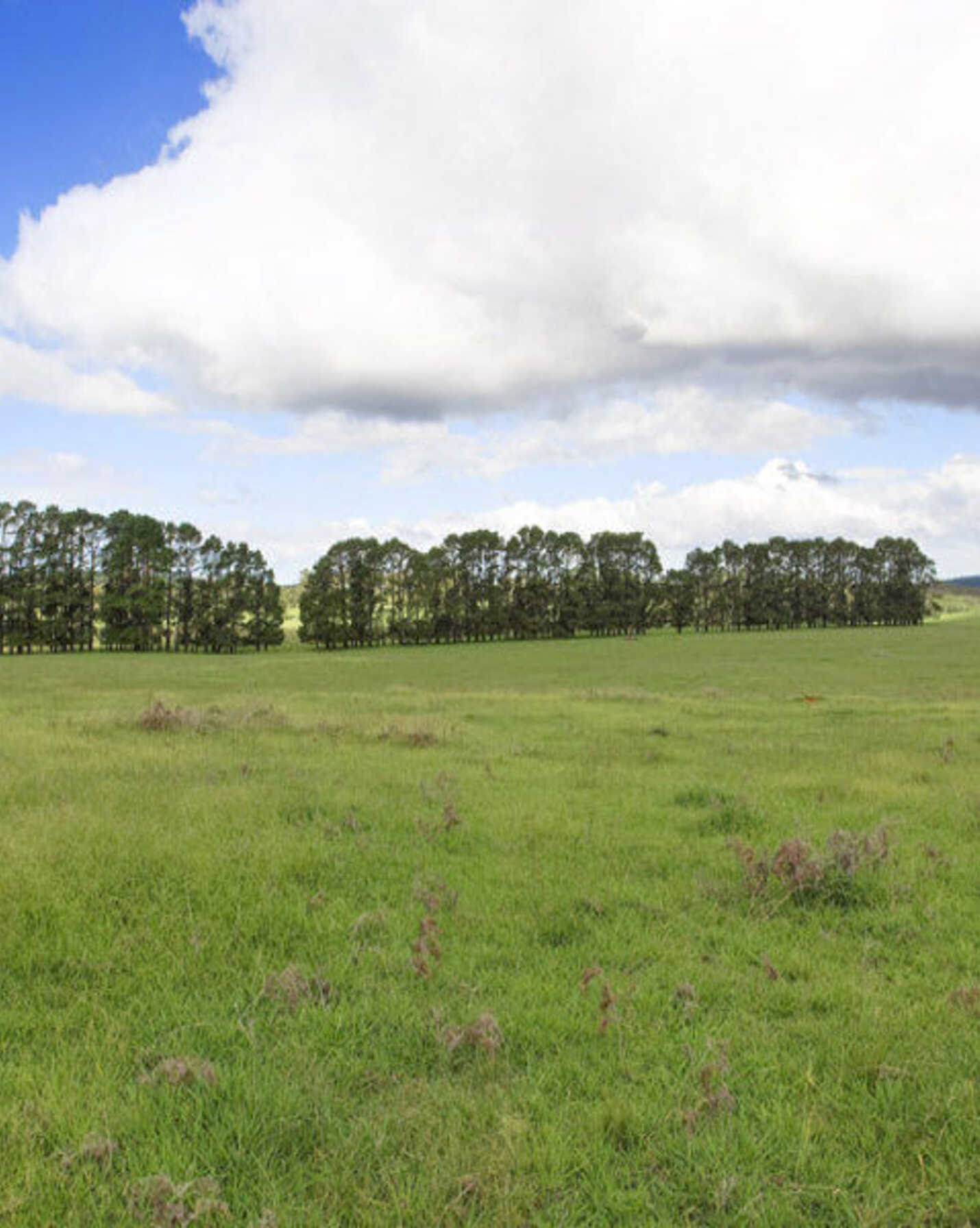 Lot 2 Bumballa Road Wingello, Wingello - Thumbnail 6