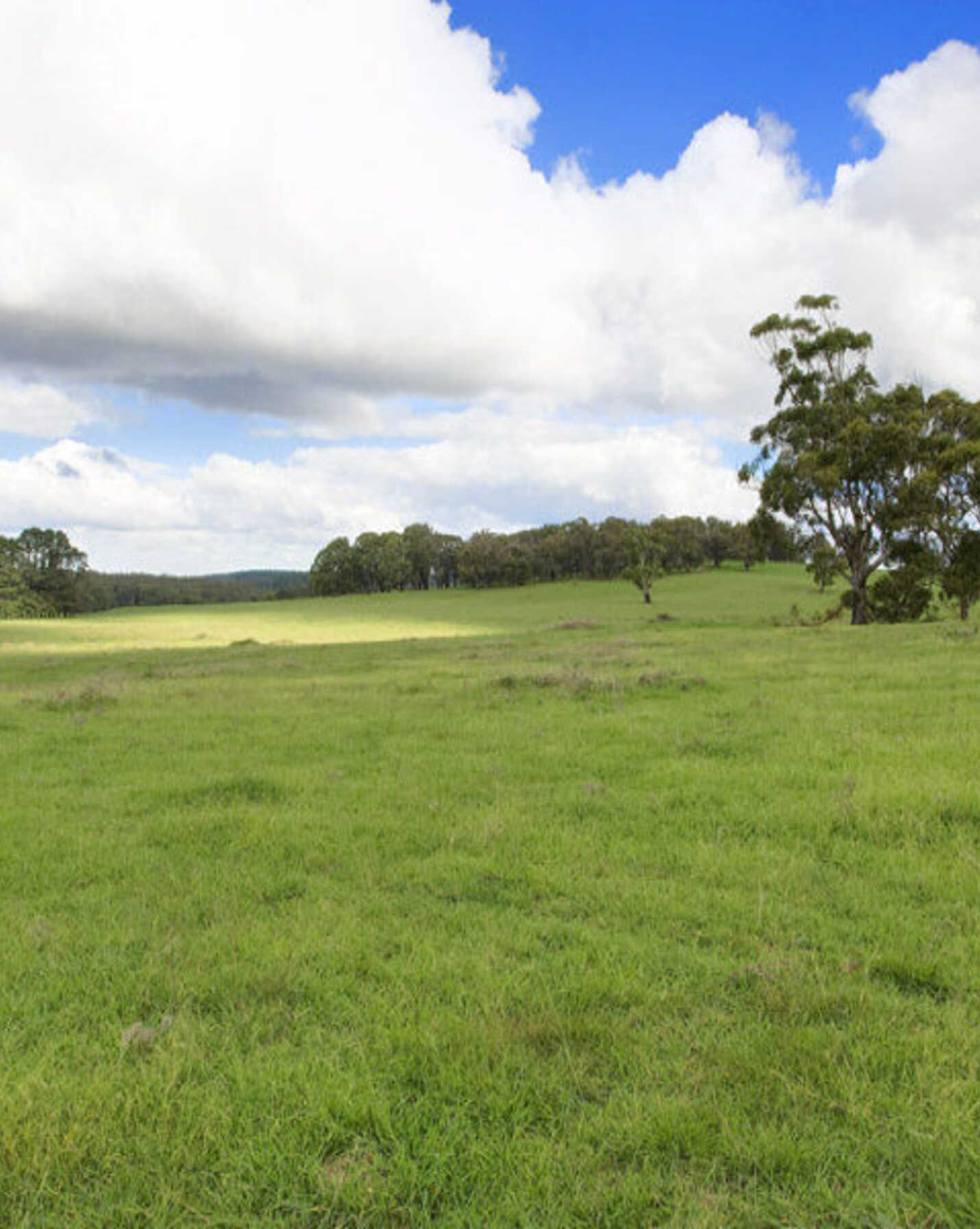 Lot 2 Bumballa Road Wingello, Wingello - Thumbnail 7