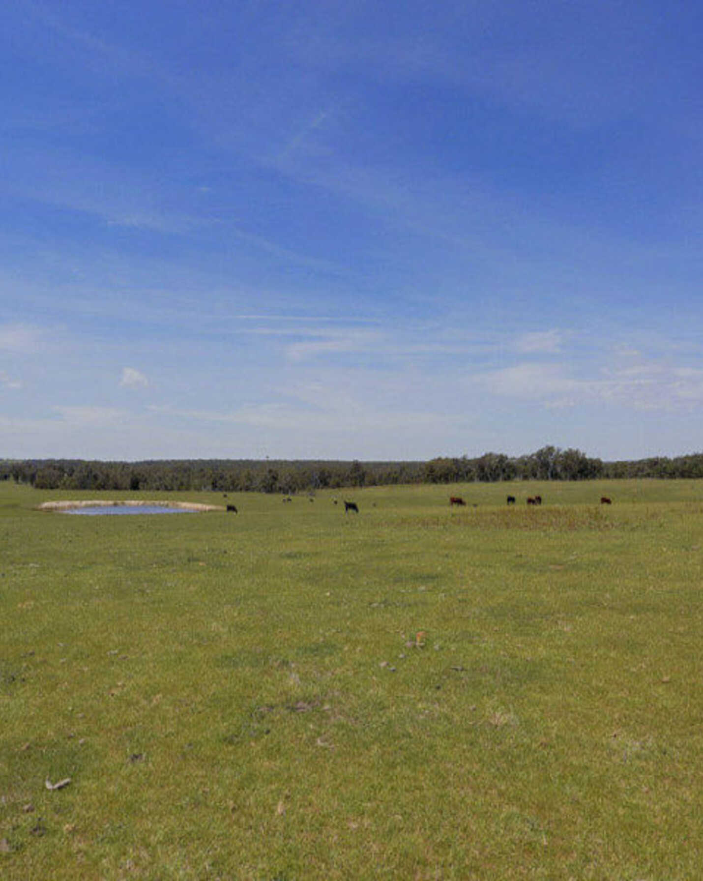 Lot 1 Wombeyan Caves Road High Range, Range - Thumbnail 2