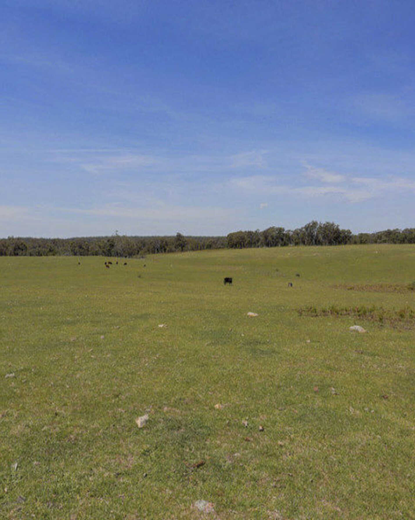 Lot 1 Wombeyan Caves Road High Range, Range - Thumbnail 5