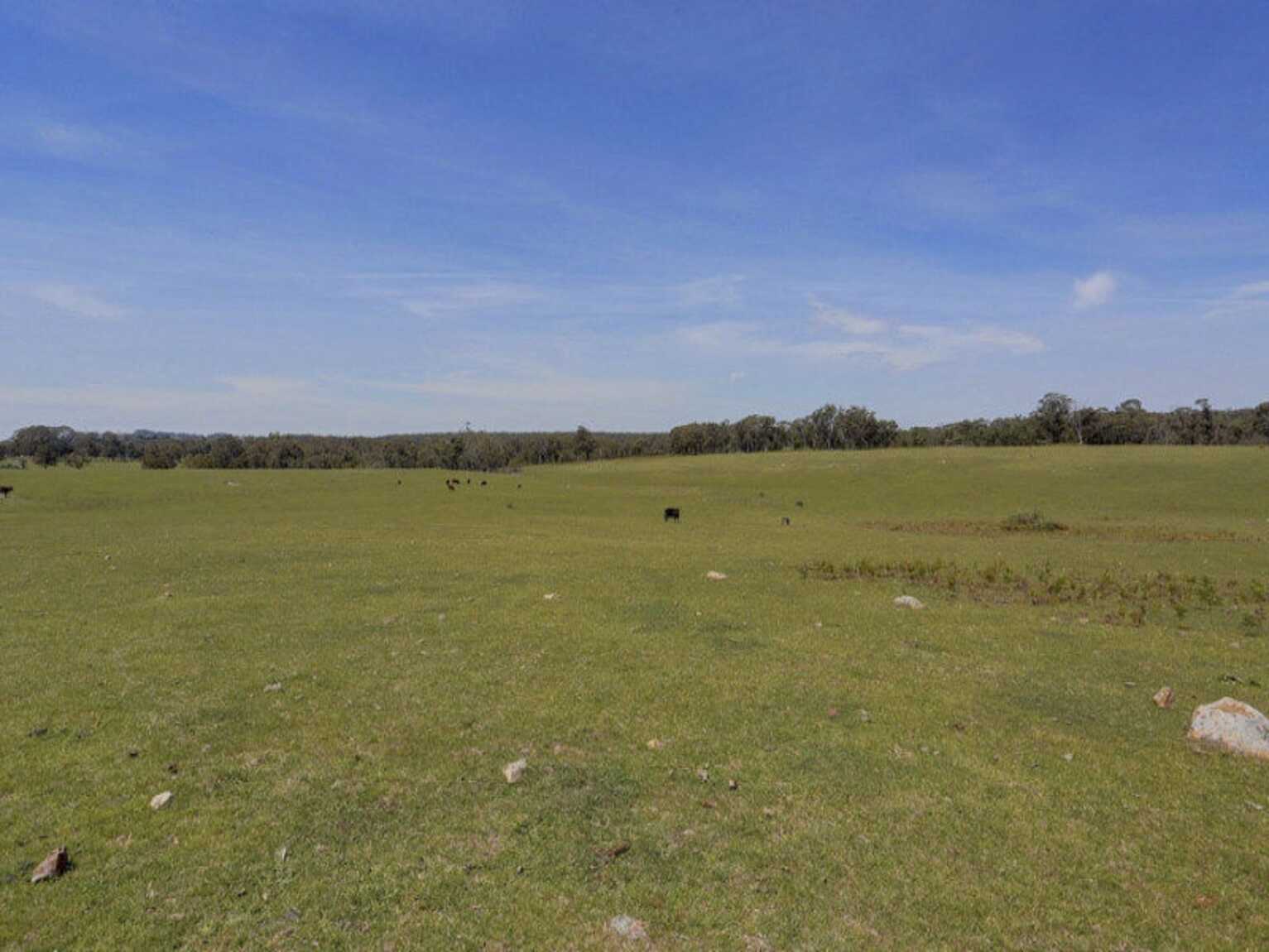Lot 1 Wombeyan Caves Road High Range Lot 1 Wombeyan Caves Road High Range