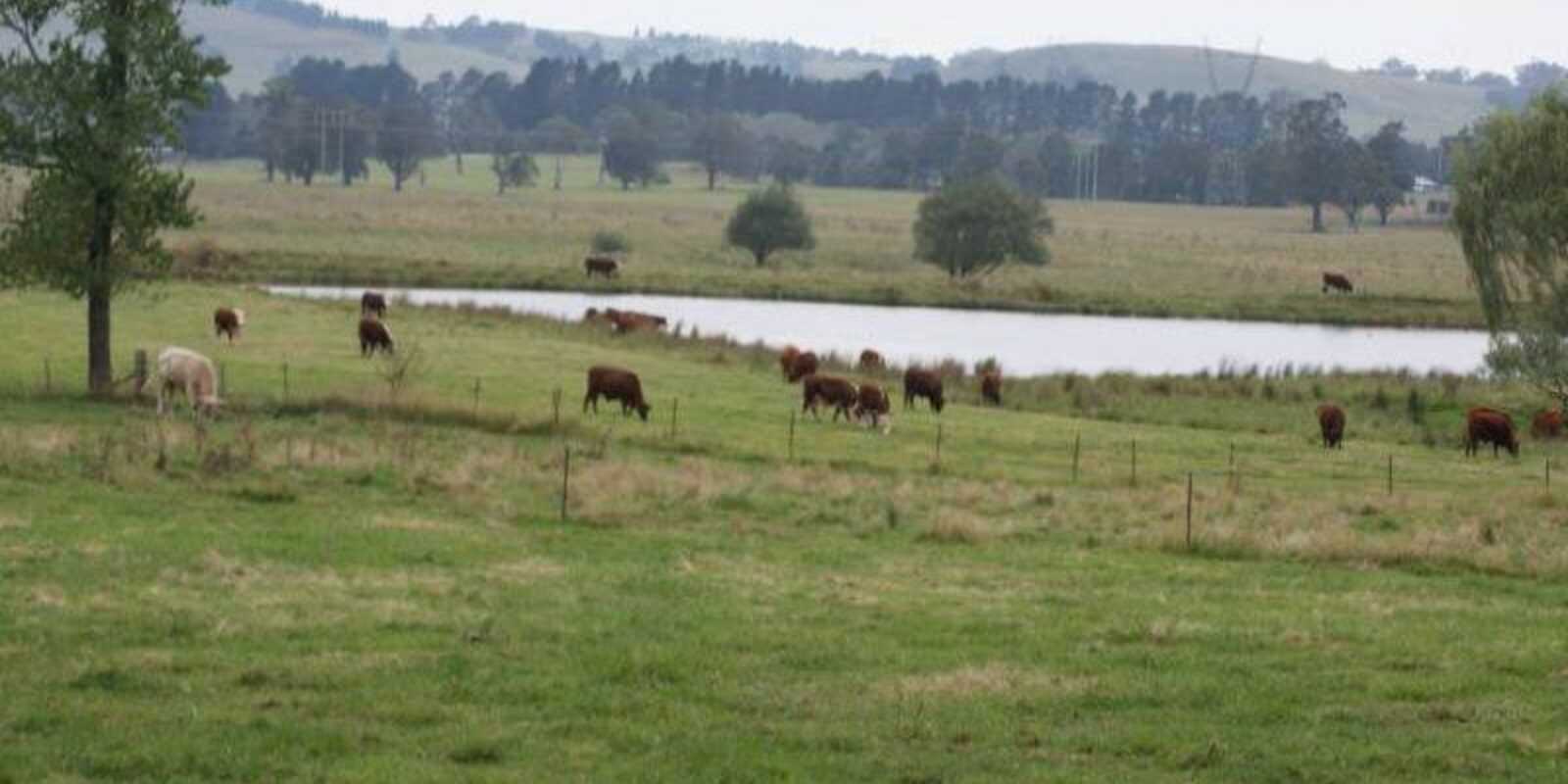  Collingwood Werai Road Exeter
