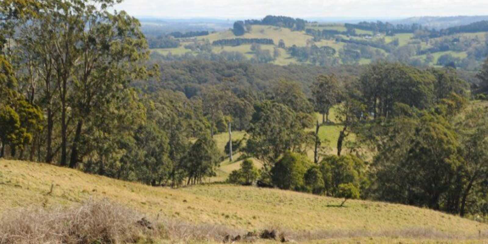 136 Sugarloaf Lane Kangaloon 136 Sugarloaf Lane Kangaloon
