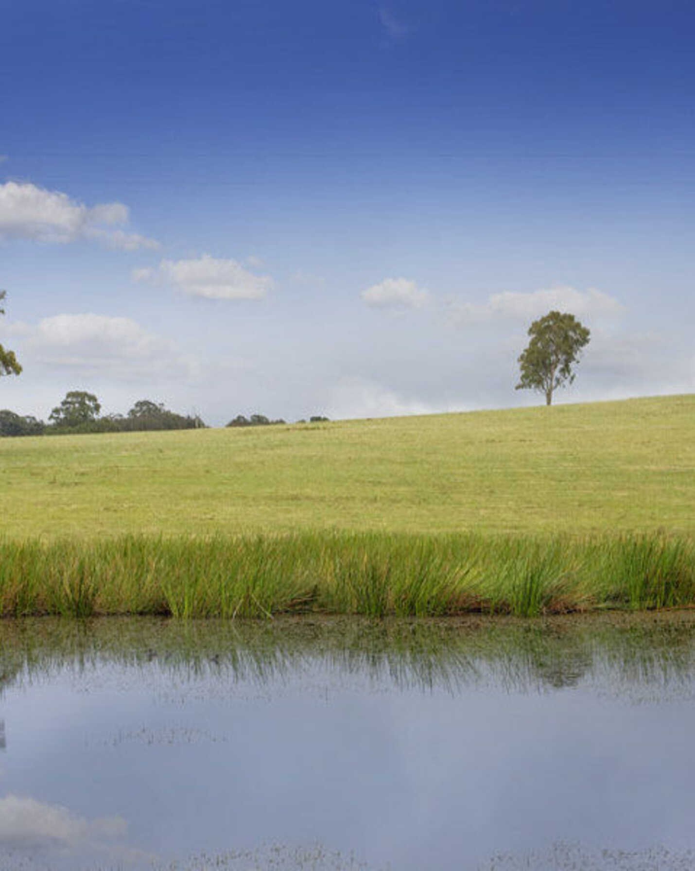 Lot 6 'Wanganderry East' Wombeyan Caves Road High Range