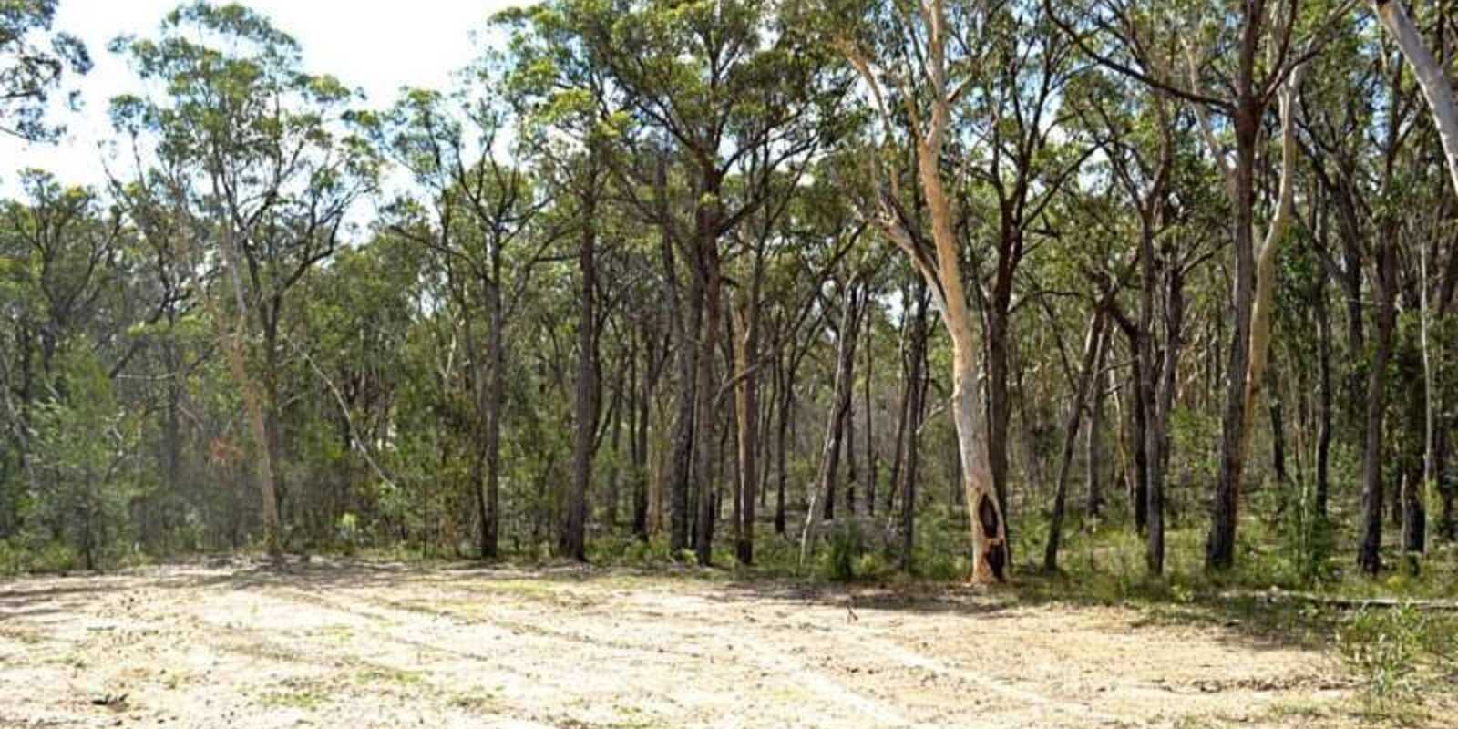 25 Grevillea Close Tallong