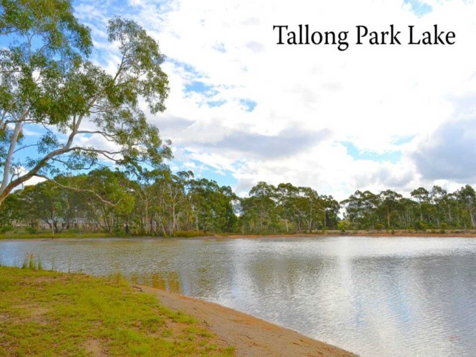 25 Grevillea Close Tallong