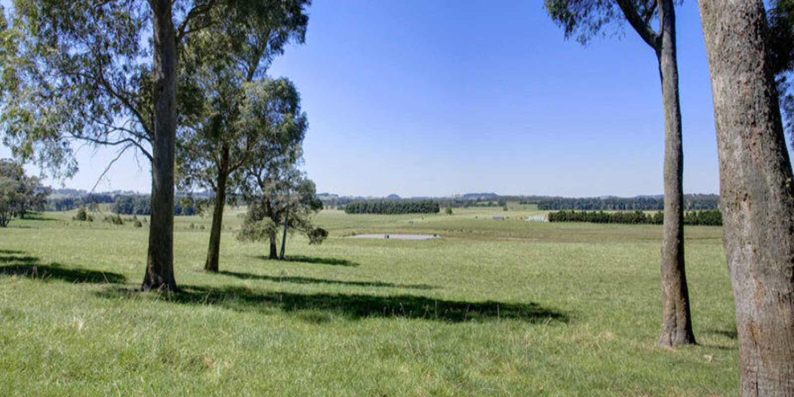Headlam Road Moss Vale Headlam Road Moss Vale