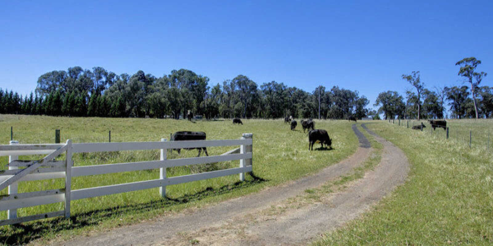 Headlam Road Moss Vale Headlam Road Moss Vale
