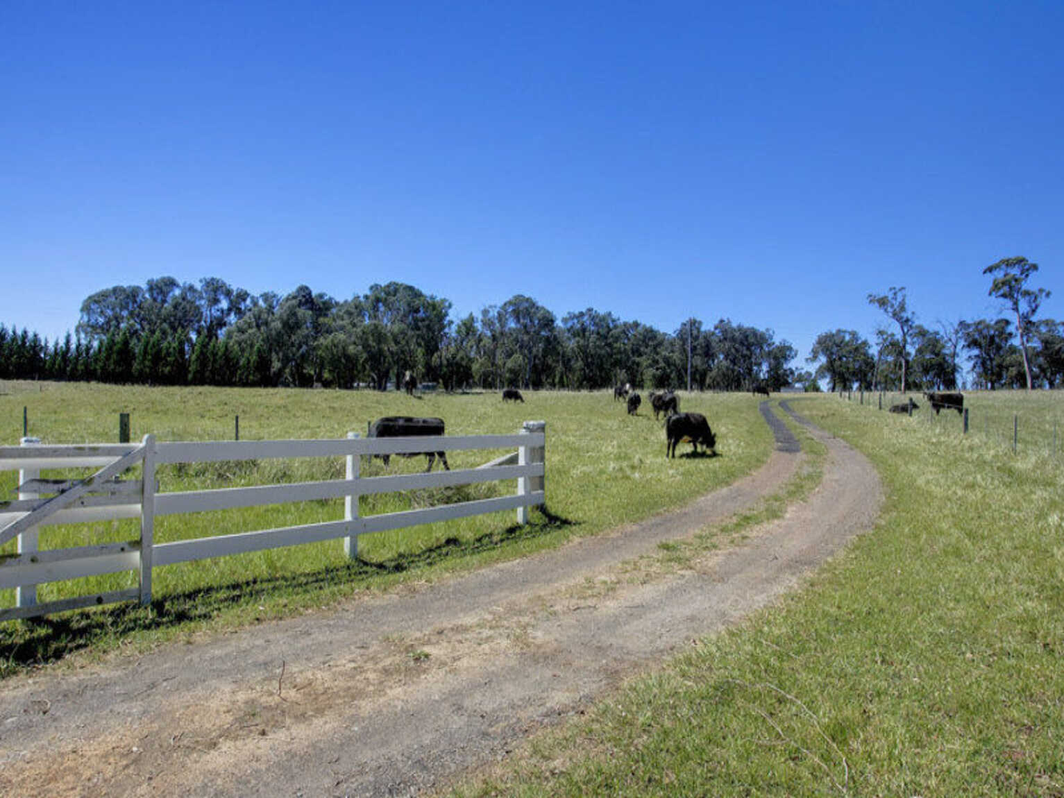 Headlam Road Moss Vale Headlam Road Moss Vale