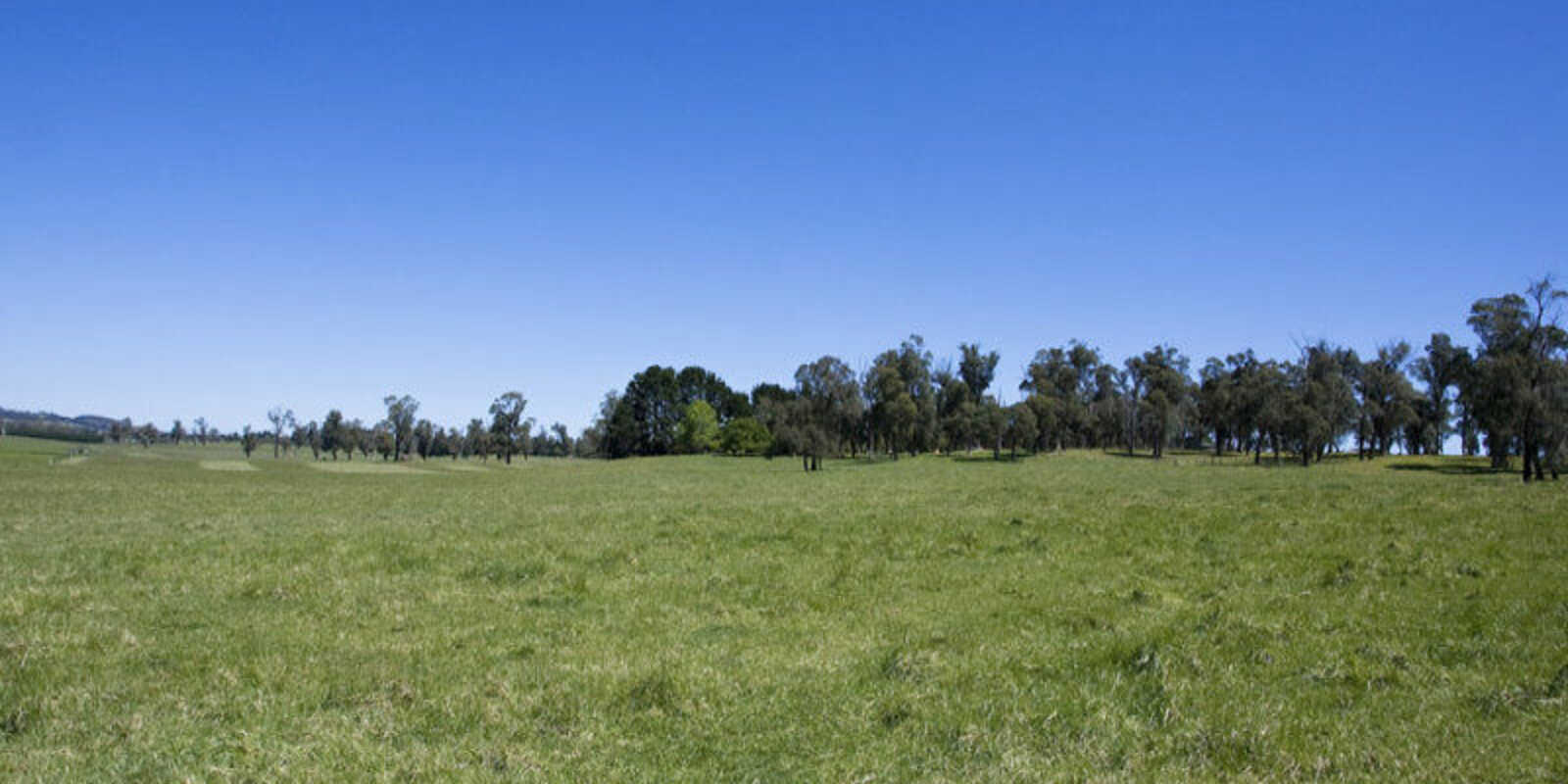 Headlam Road Moss Vale Headlam Road Moss Vale