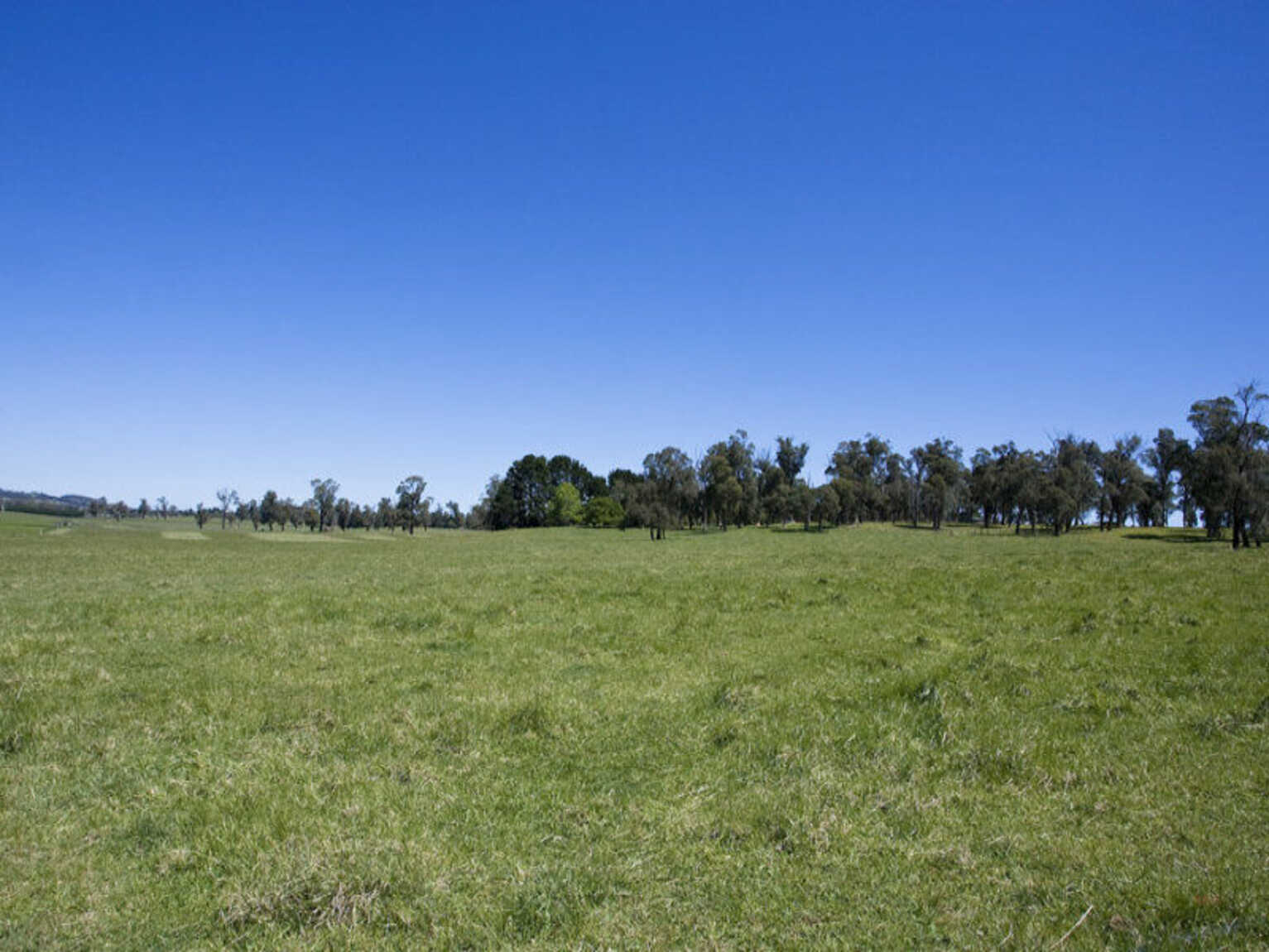 Headlam Road Moss Vale Headlam Road Moss Vale