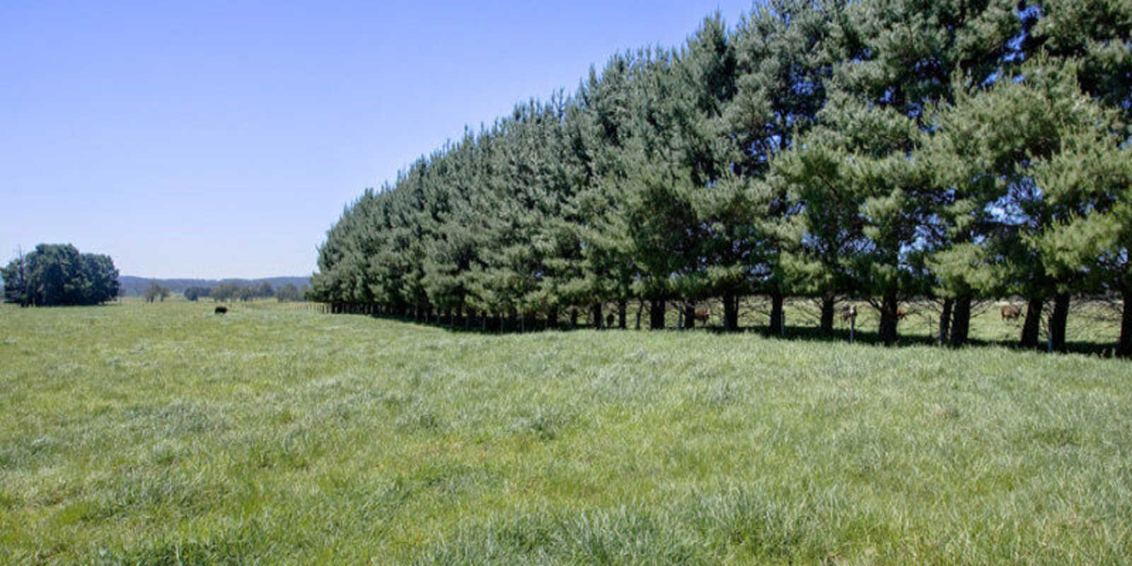 Headlam Road Moss Vale Headlam Road Moss Vale