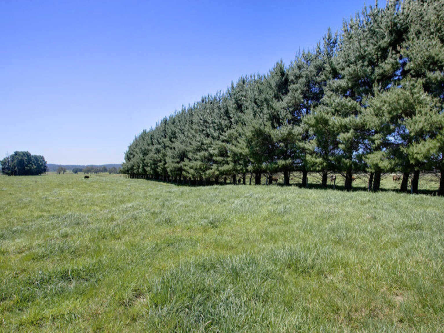 Headlam Road Moss Vale Headlam Road Moss Vale