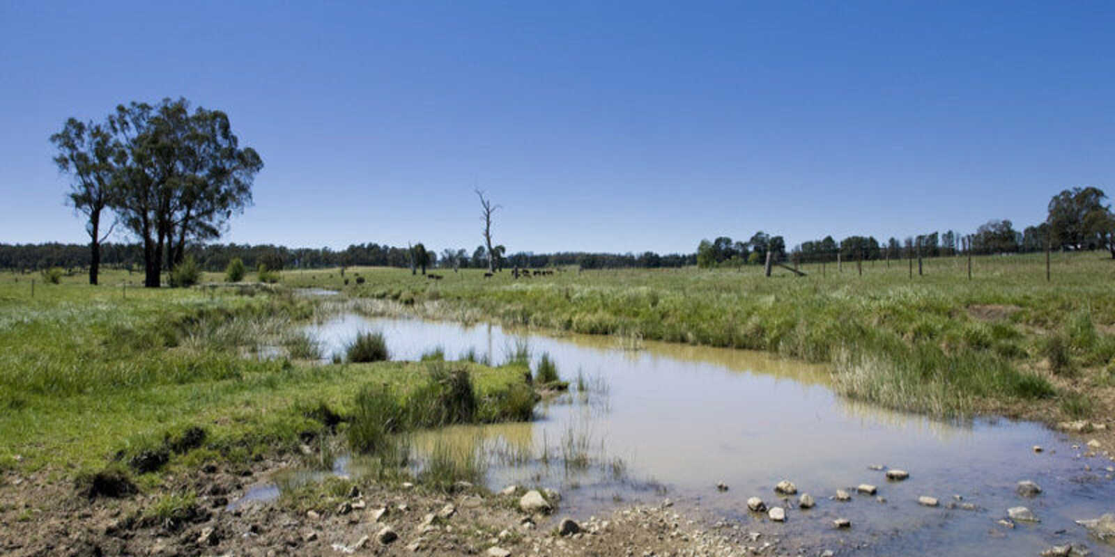 Headlam Road Moss Vale Headlam Road Moss Vale