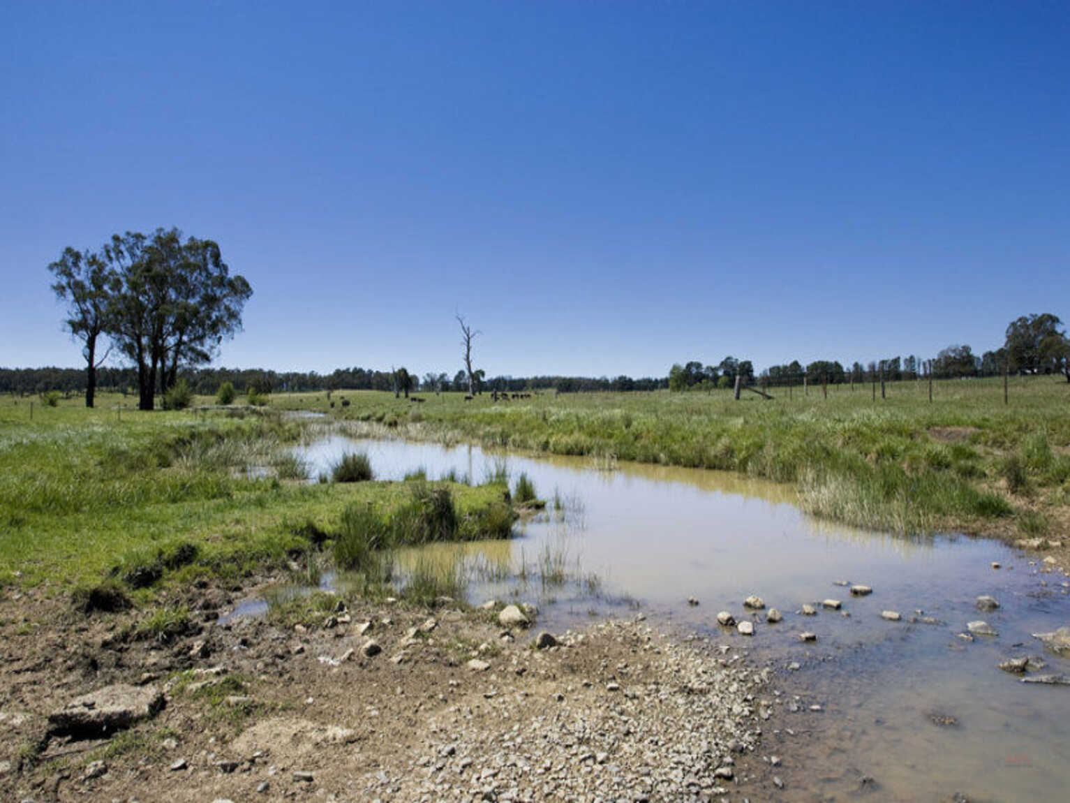 Headlam Road Moss Vale Headlam Road Moss Vale