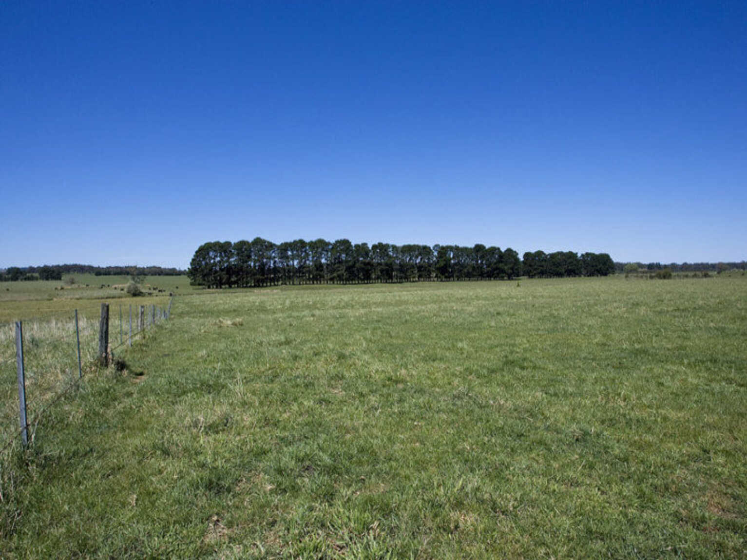 Headlam Road Moss Vale Headlam Road Moss Vale