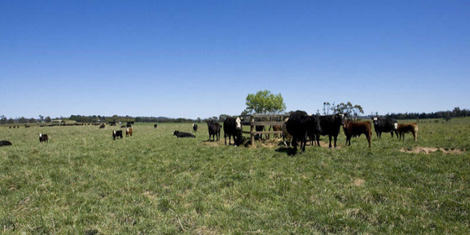 Headlam Road Moss Vale Headlam Road Moss Vale