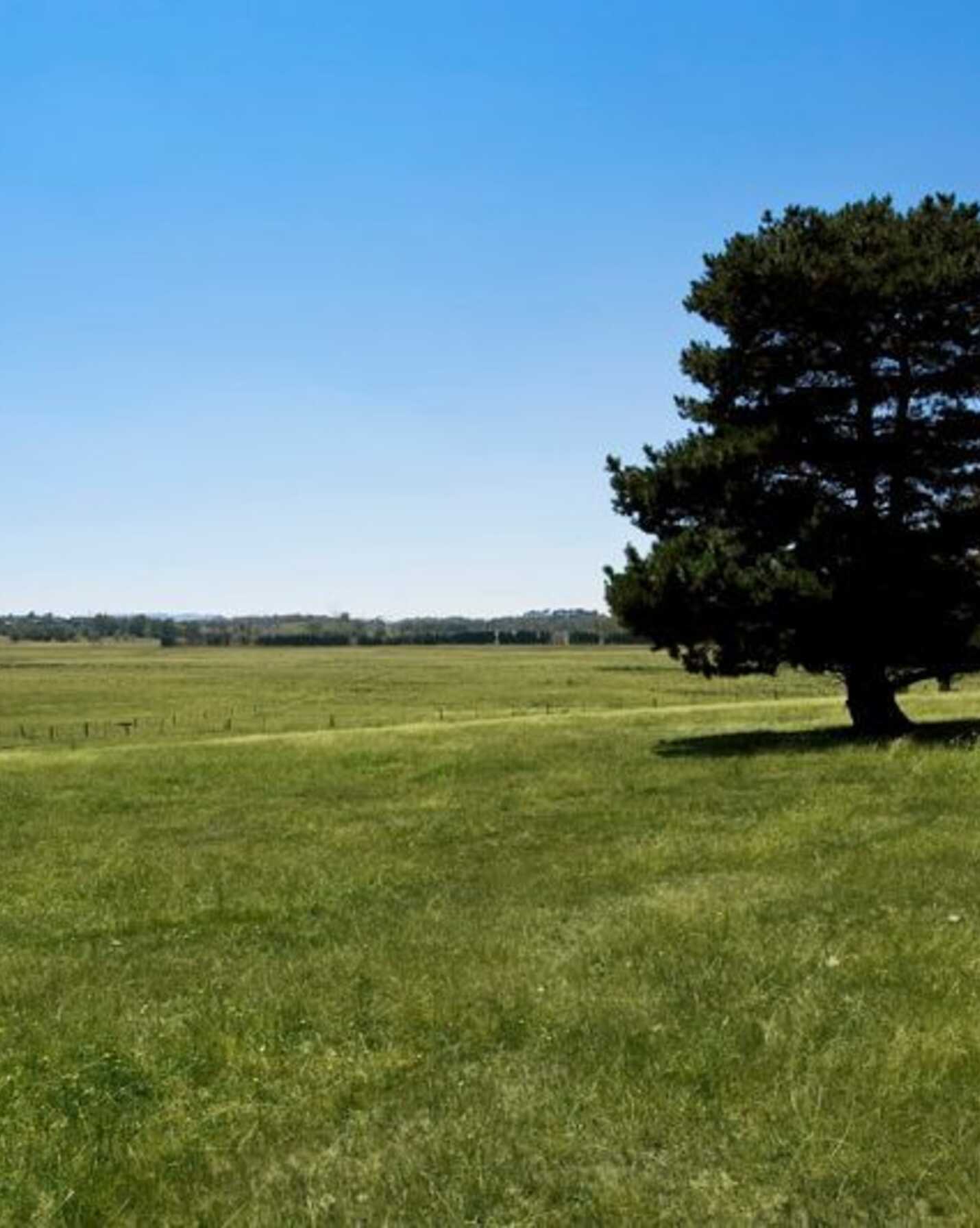 Majellan Park 315 Yarrawa Road Moss Vale, Vale - Thumbnail 2