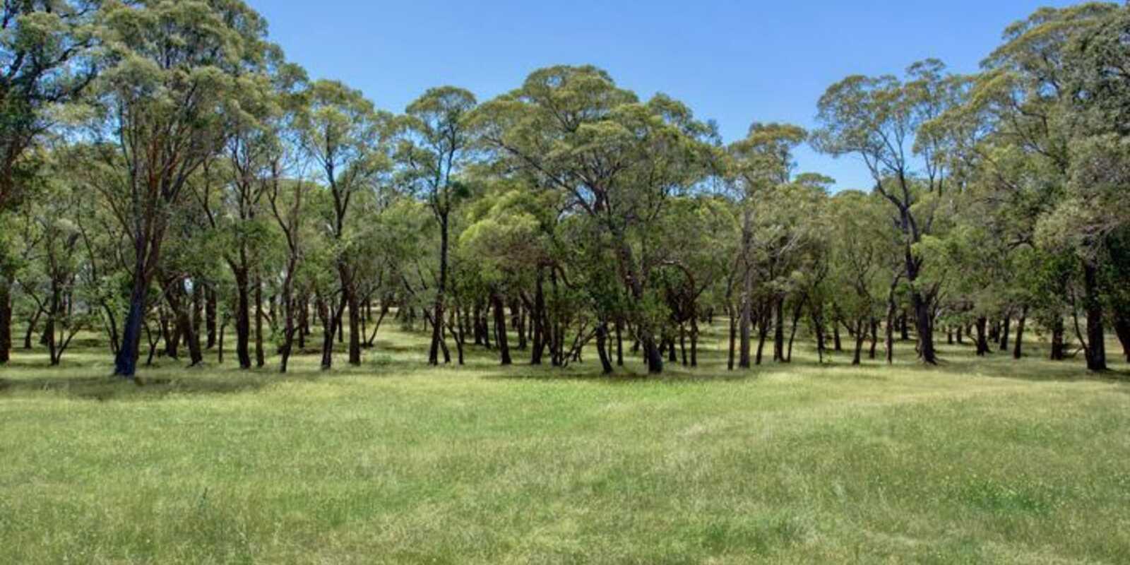 Majellan Park 315 Yarrawa Road Moss Vale Majellan Park 315 Yarrawa Road Moss Vale