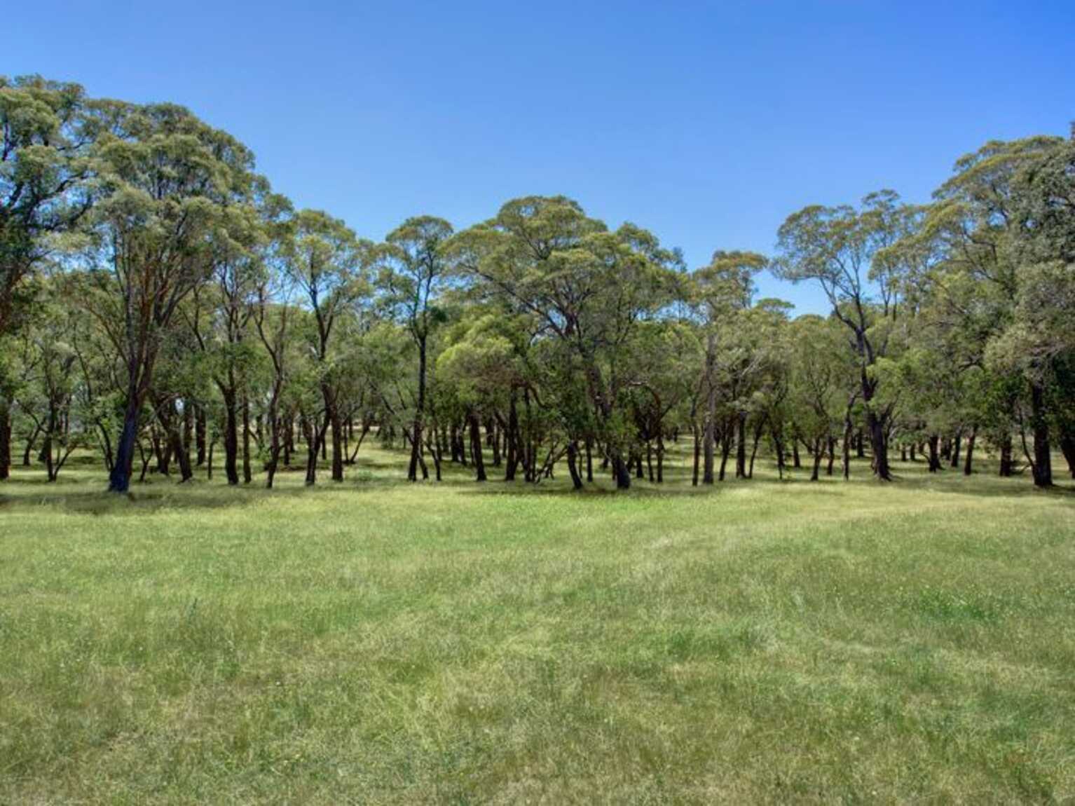 Majellan Park 315 Yarrawa Road Moss Vale Majellan Park 315 Yarrawa Road Moss Vale