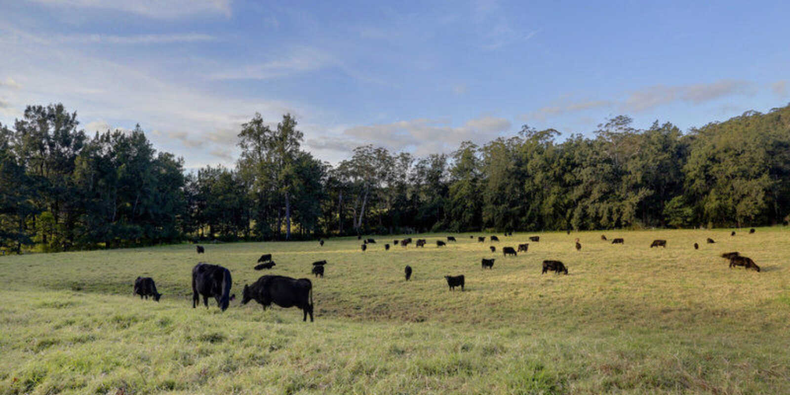 1426 Moss Vale Road Kangaroo Valley 1426 Moss Vale Road Kangaroo Valley