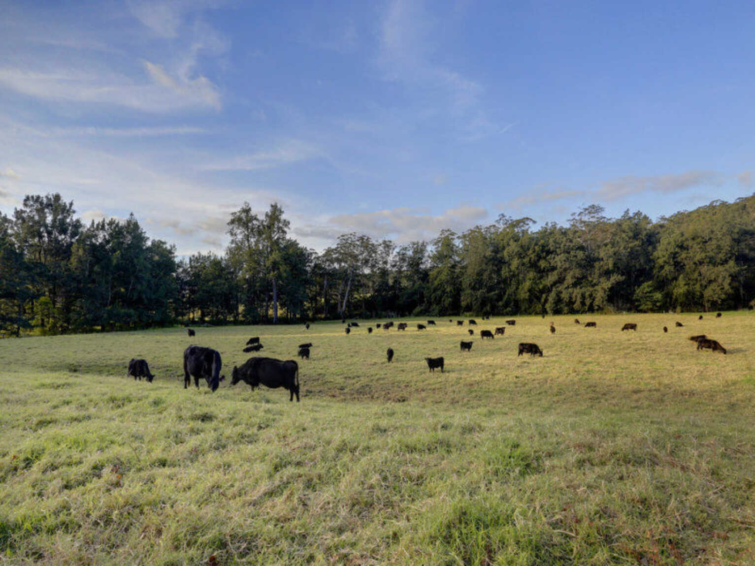 1426 Moss Vale Road Kangaroo Valley 1426 Moss Vale Road Kangaroo Valley