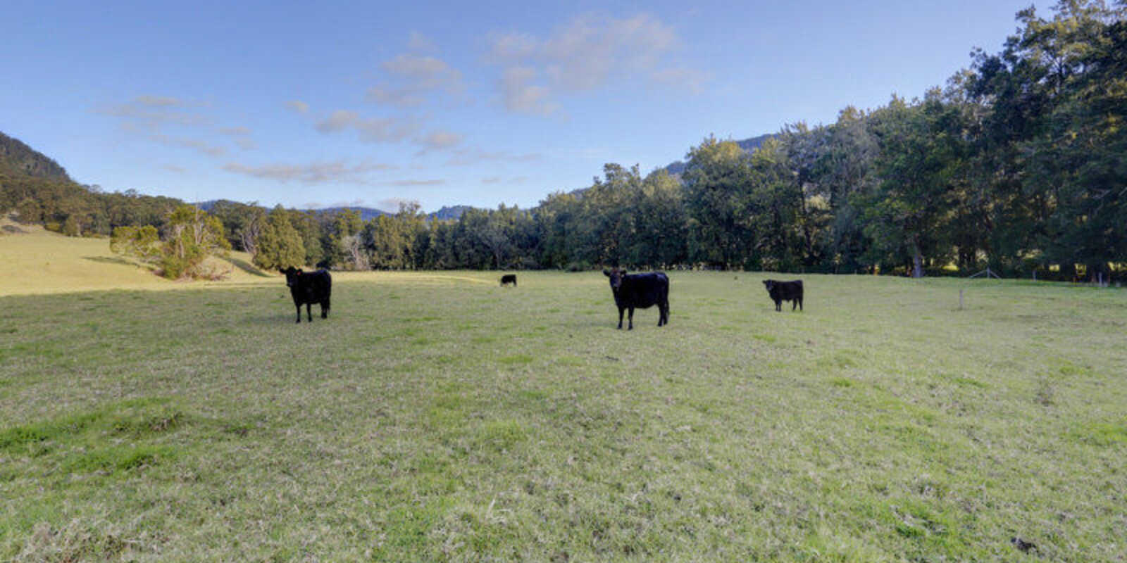 1426 Moss Vale Road Kangaroo Valley 1426 Moss Vale Road Kangaroo Valley