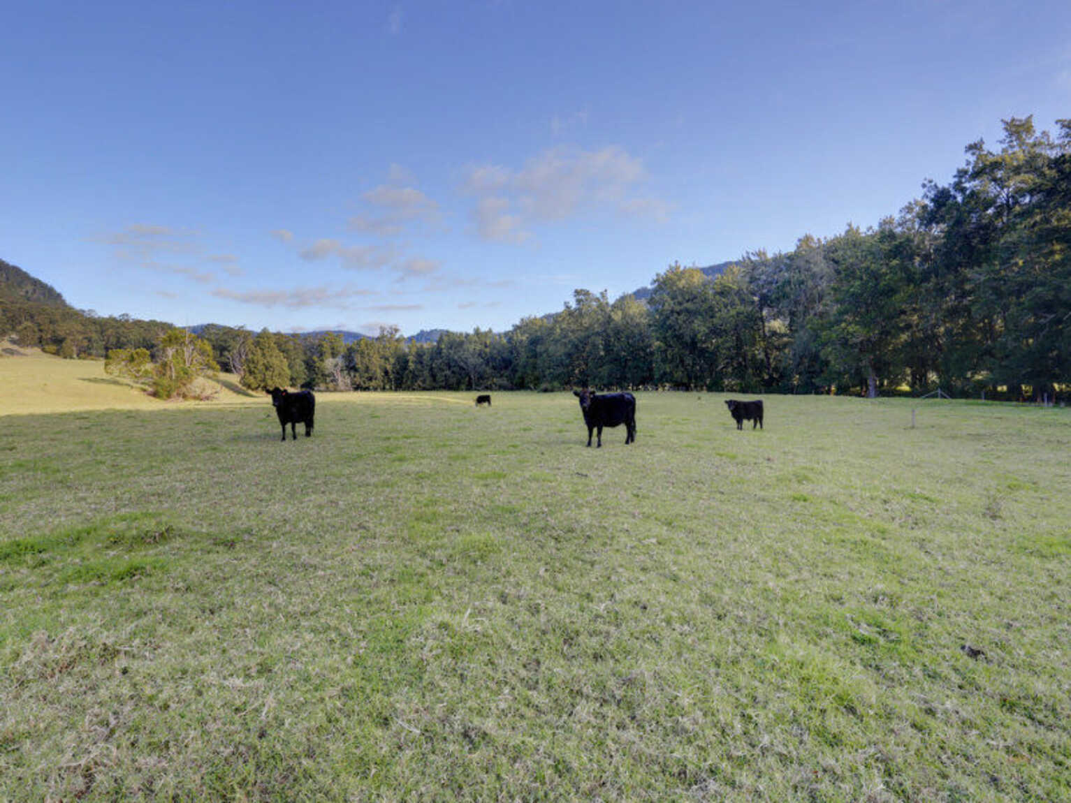 1426 Moss Vale Road Kangaroo Valley 1426 Moss Vale Road Kangaroo Valley