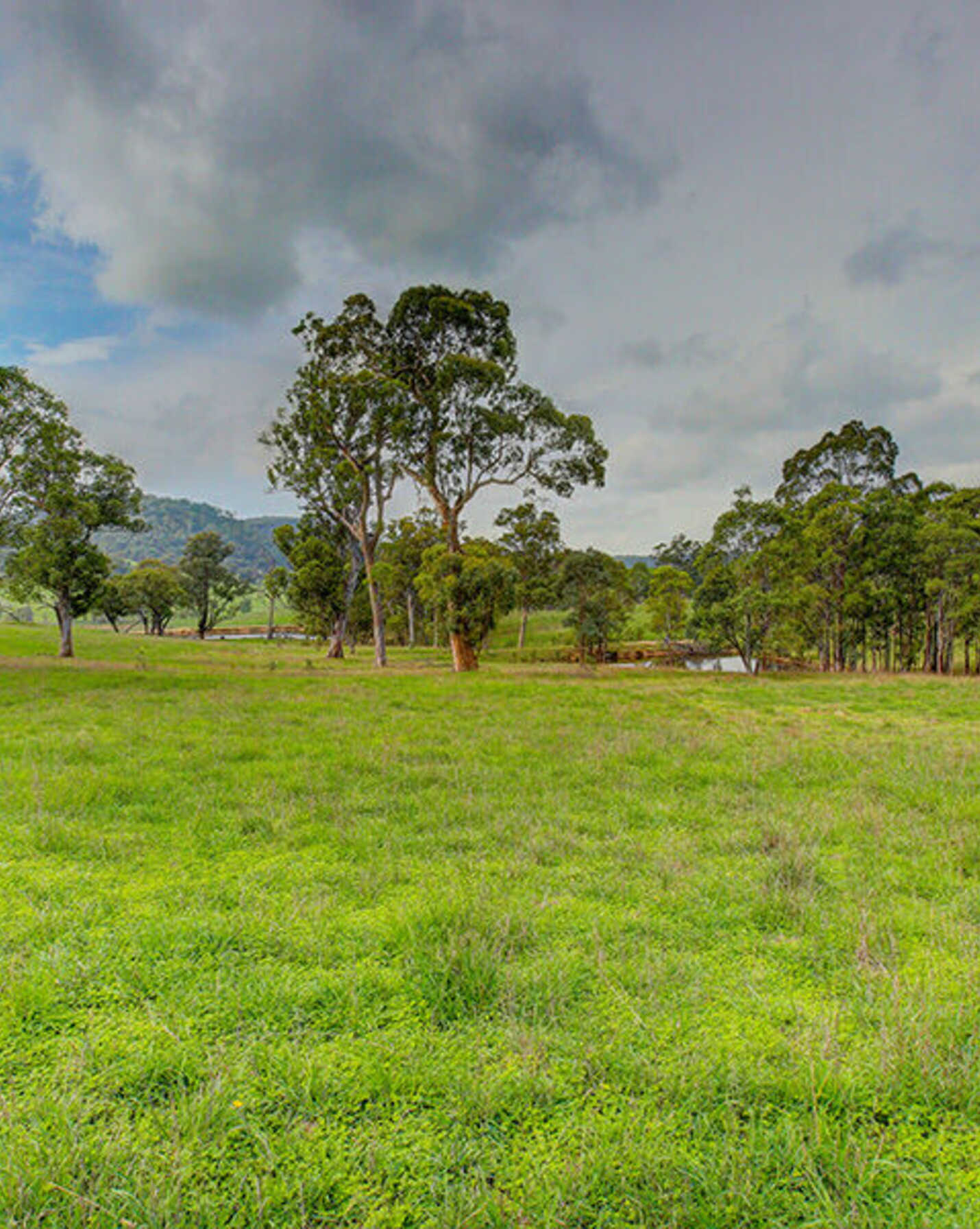 370 Nandi Road Canyonleigh, Canyonleigh - Thumbnail 2