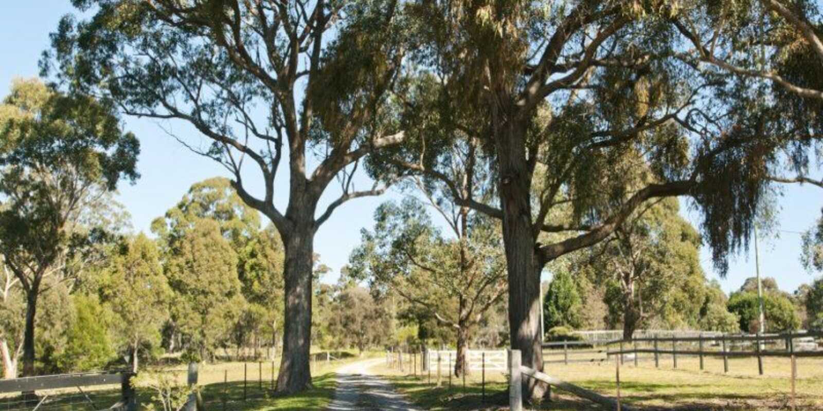 90 Corrie Road Alpine 90 Corrie Road Alpine