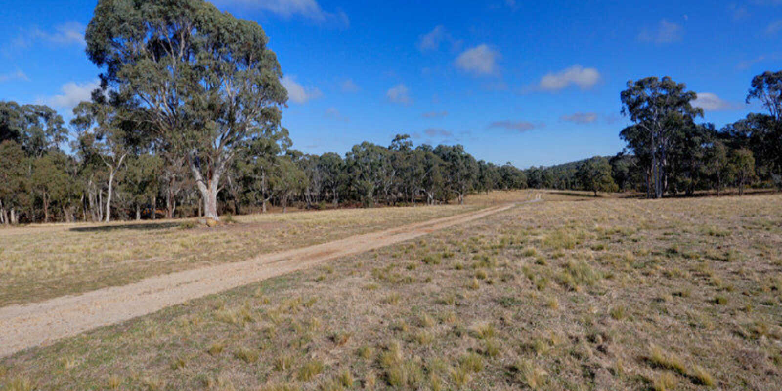 109 Eucalypt Lane High Range