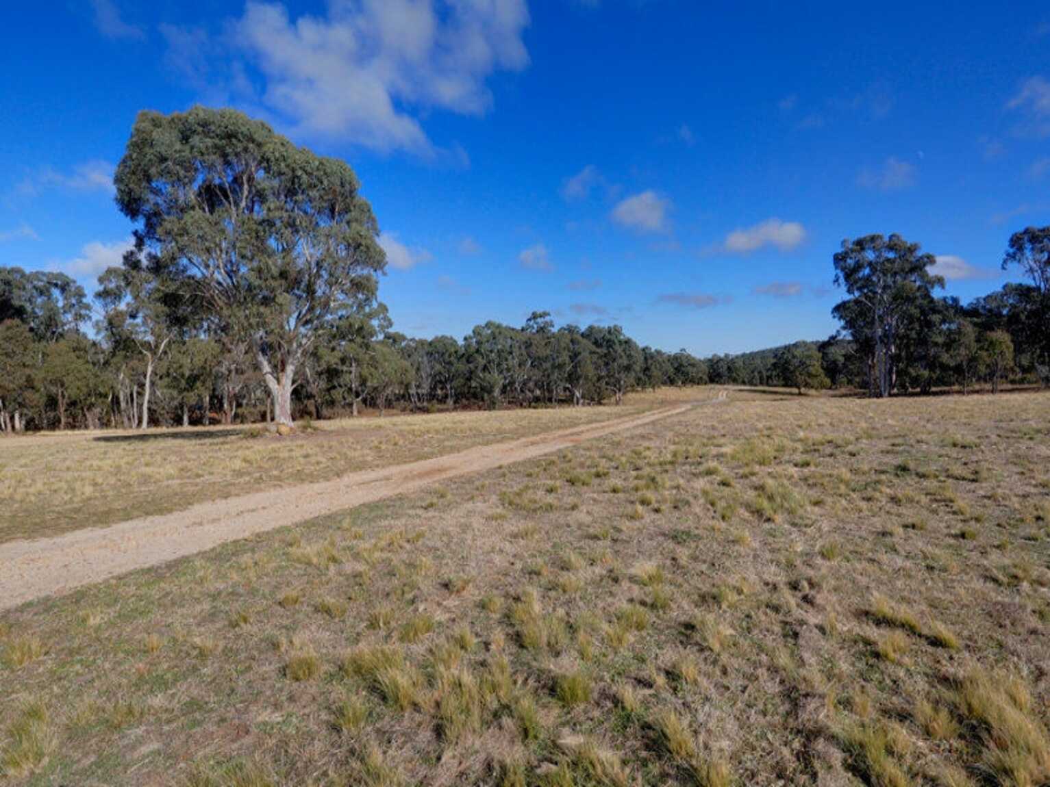 109 Eucalypt Lane High Range