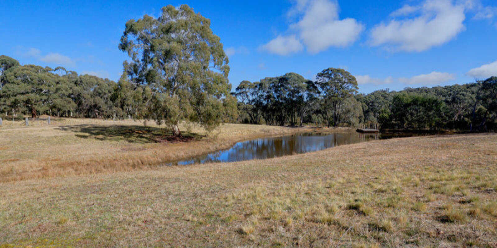 109 Eucalypt Lane High Range