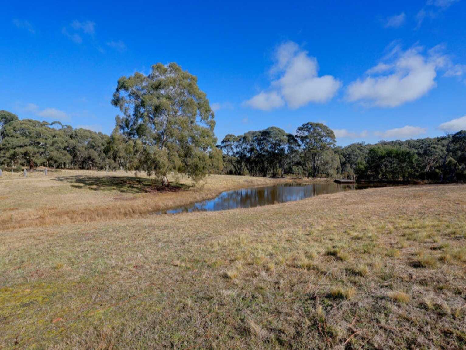 109 Eucalypt Lane High Range