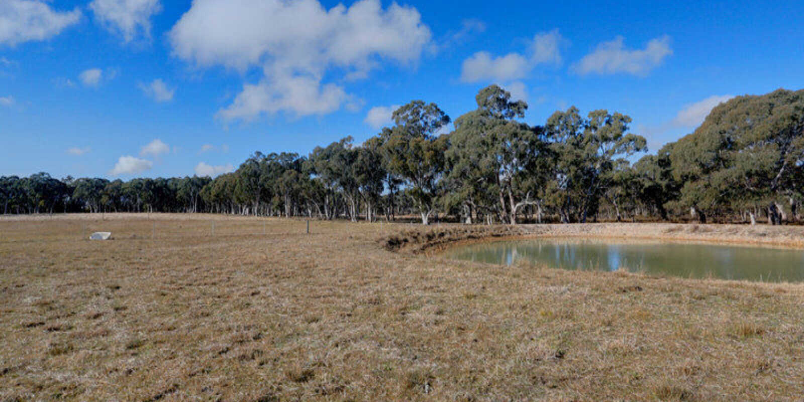 109 Eucalypt Lane High Range