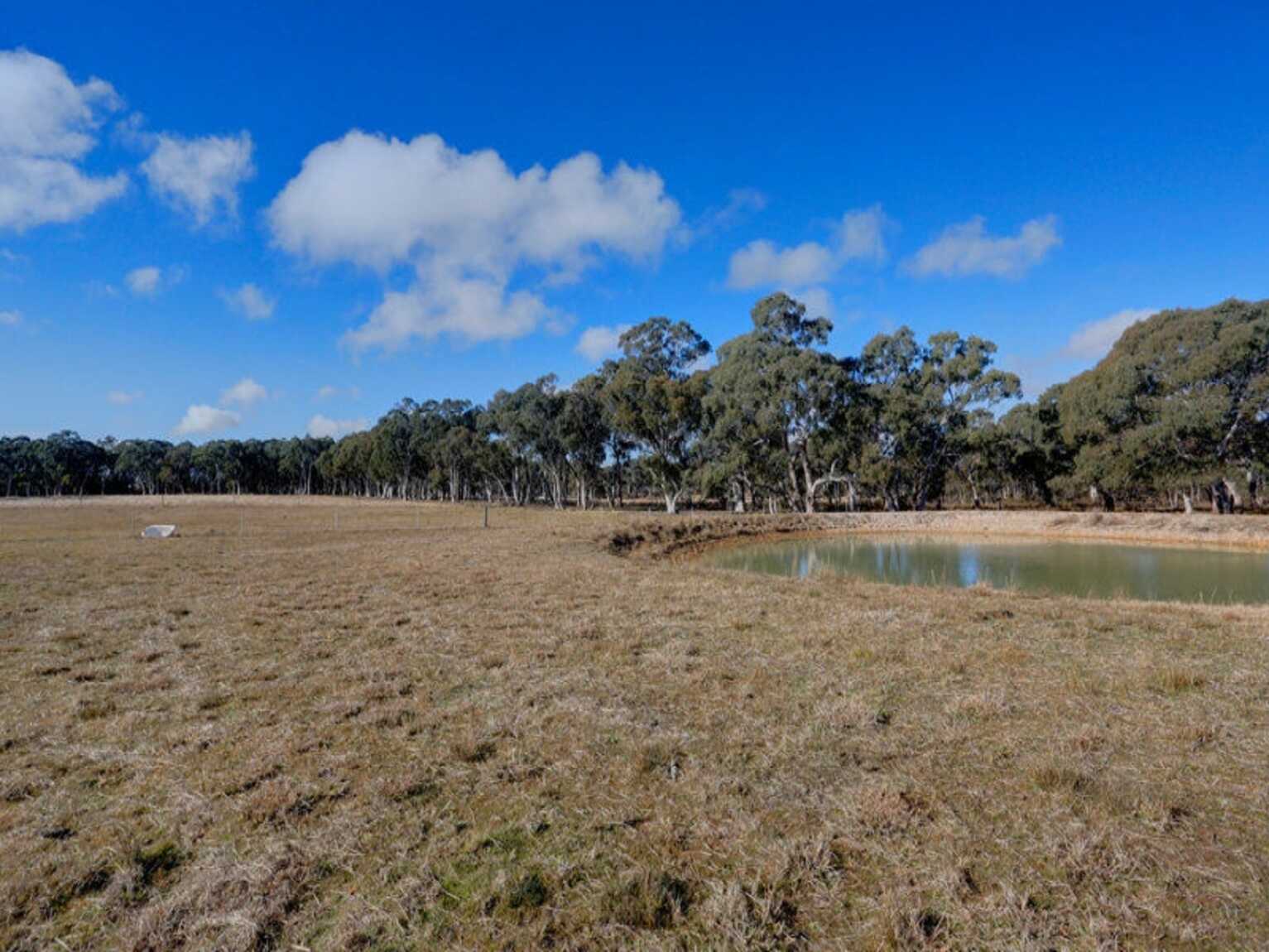 109 Eucalypt Lane High Range