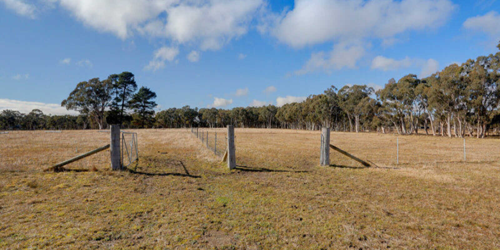 109 Eucalypt Lane High Range