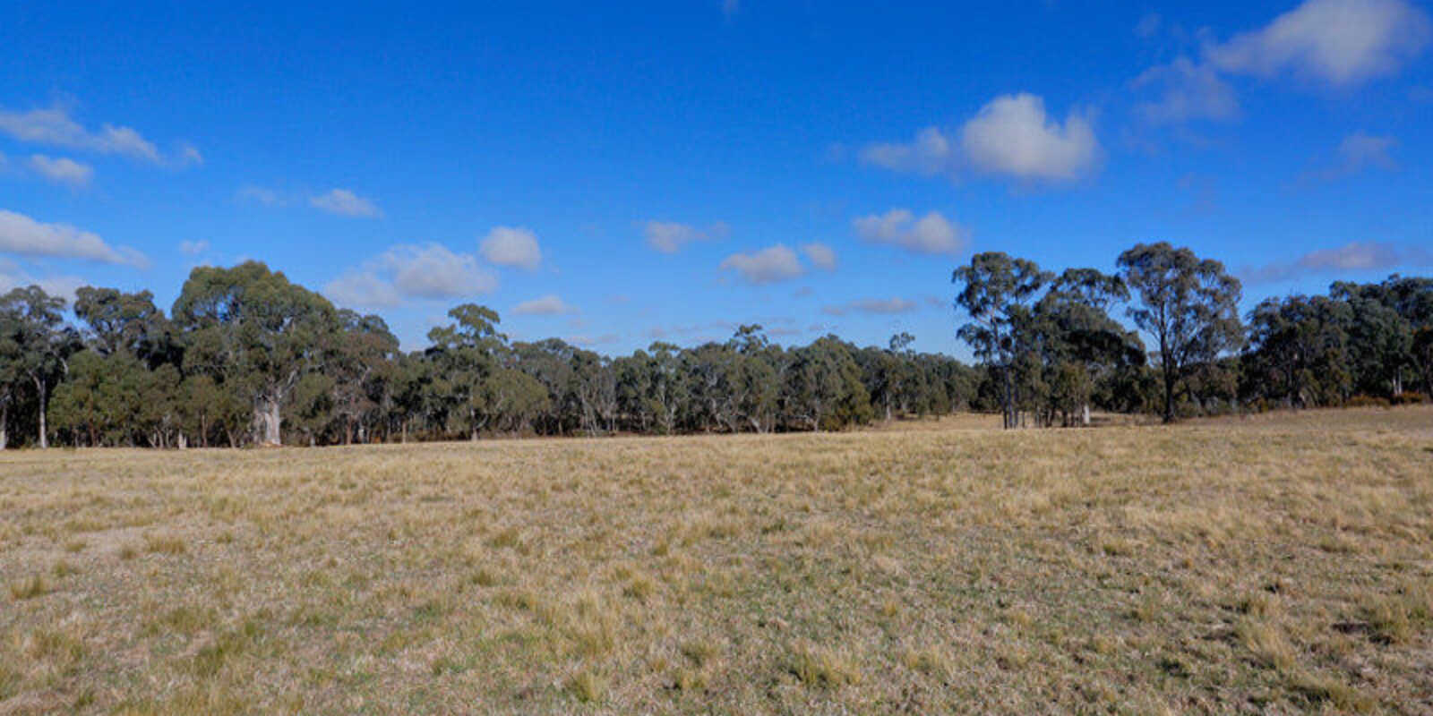 109 Eucalypt Lane High Range