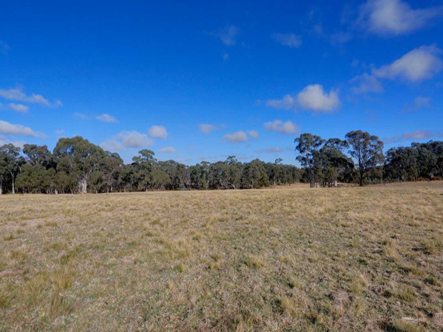 109 Eucalypt Lane High Range