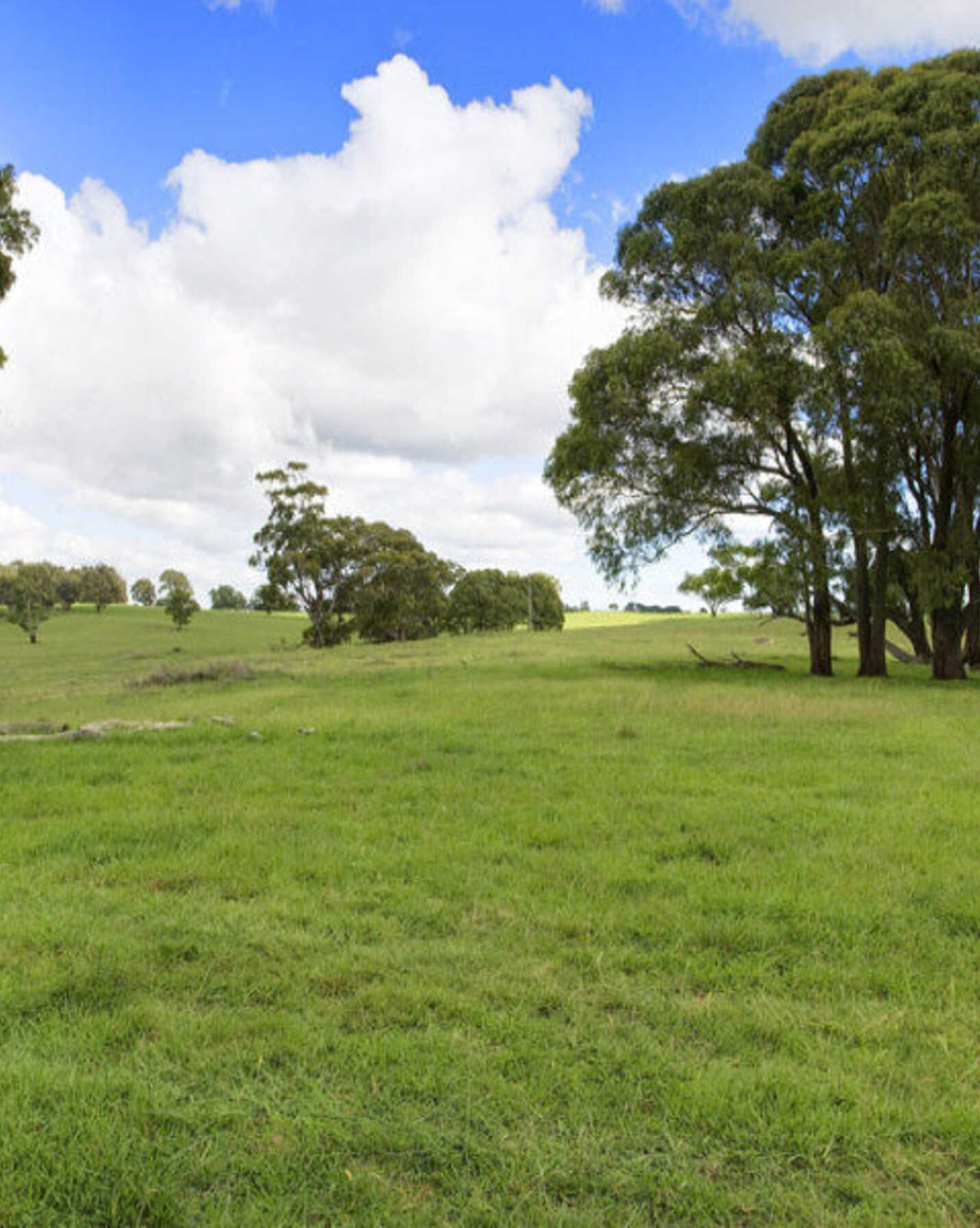 Lot 2 Bumballa Road Wingello