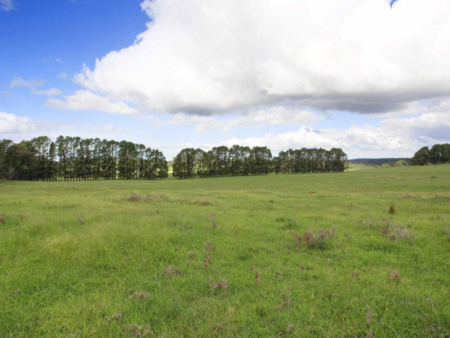 Lot 2 Bumballa Road Wingello Lot 2 Bumballa Road Wingello