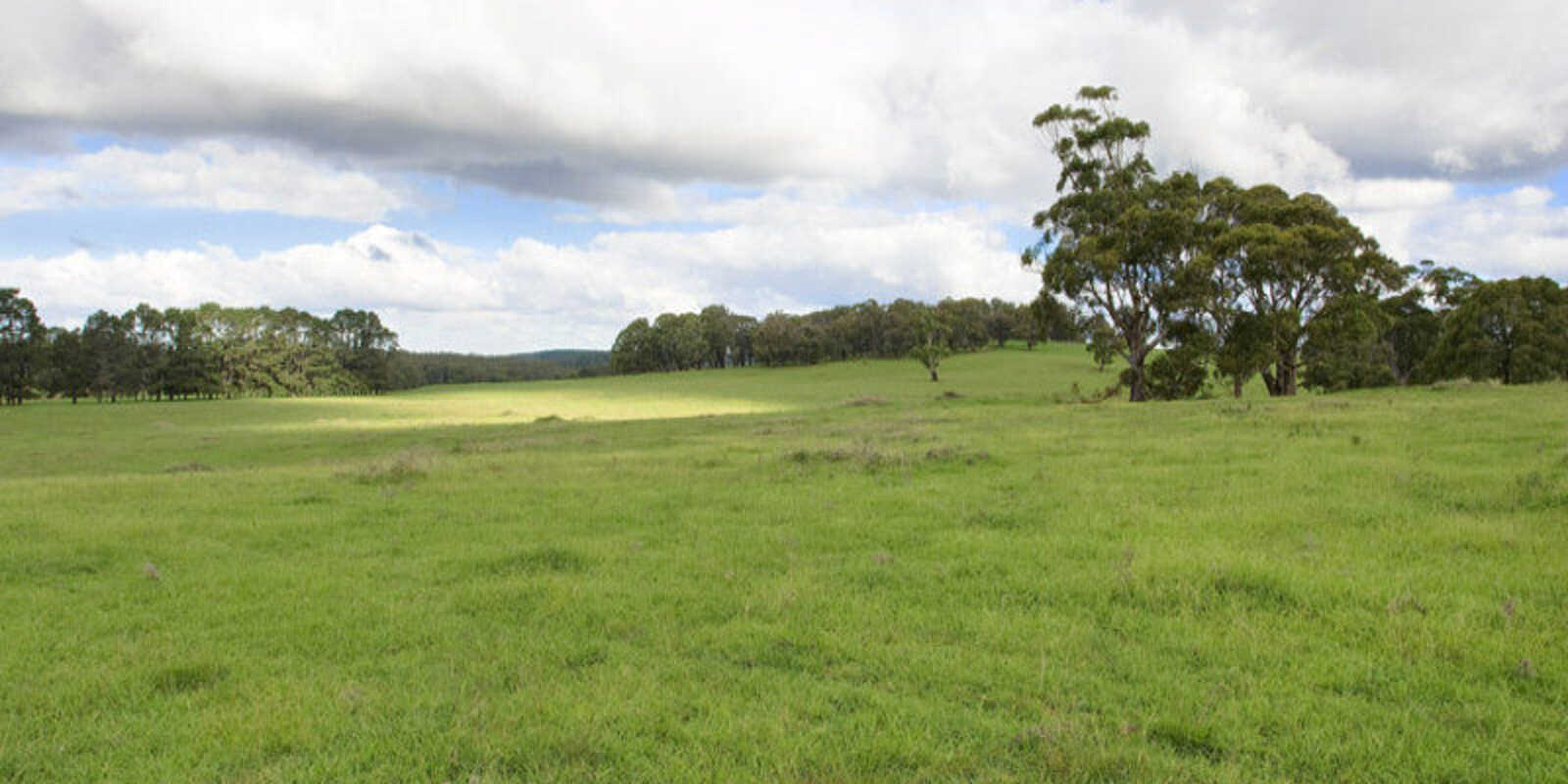 Lot 2 Bumballa Road Wingello Lot 2 Bumballa Road Wingello