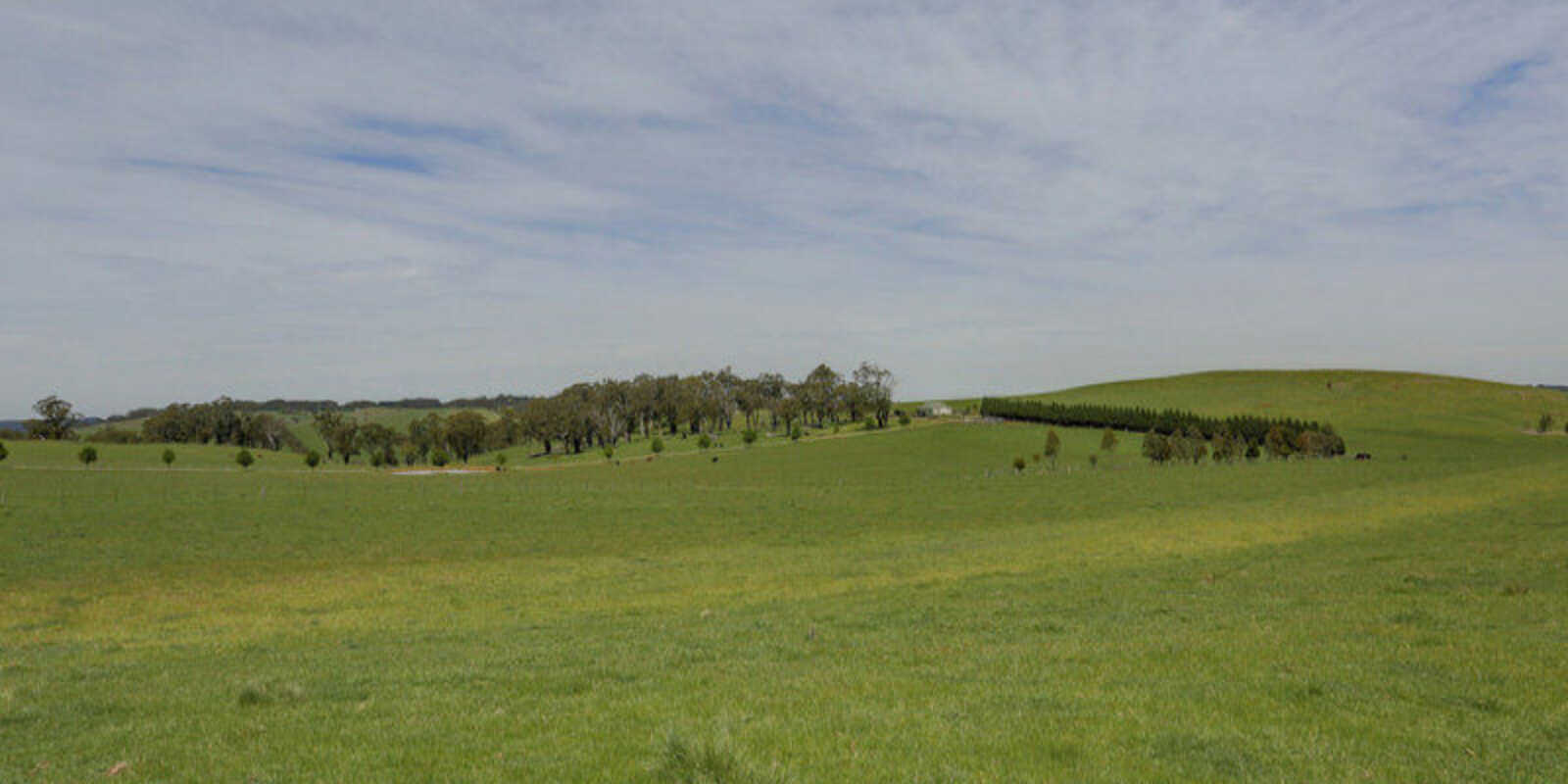 Bibby's Lane Moss Vale Bibby's Lane Moss Vale