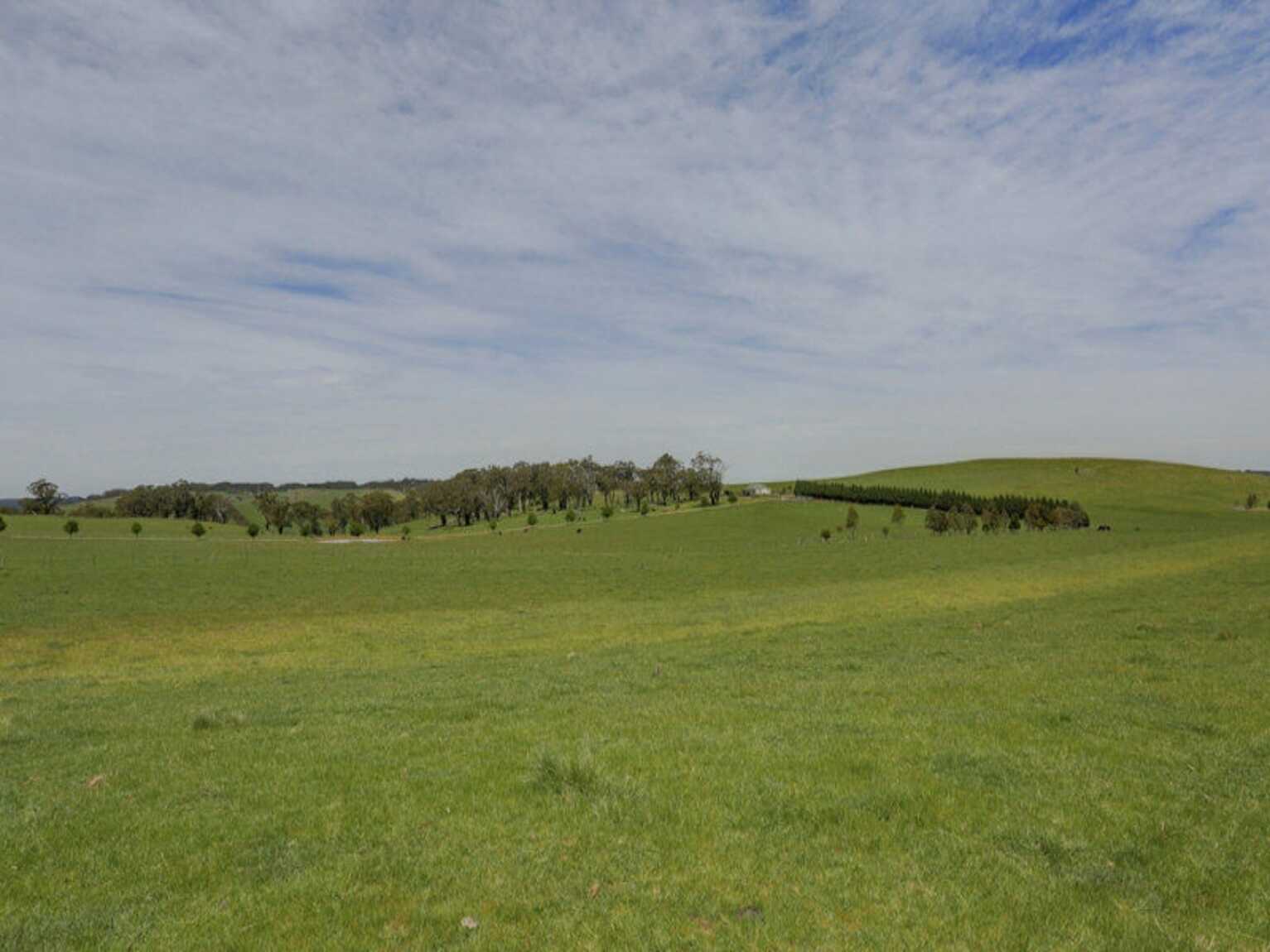 Bibby's Lane Moss Vale Bibby's Lane Moss Vale