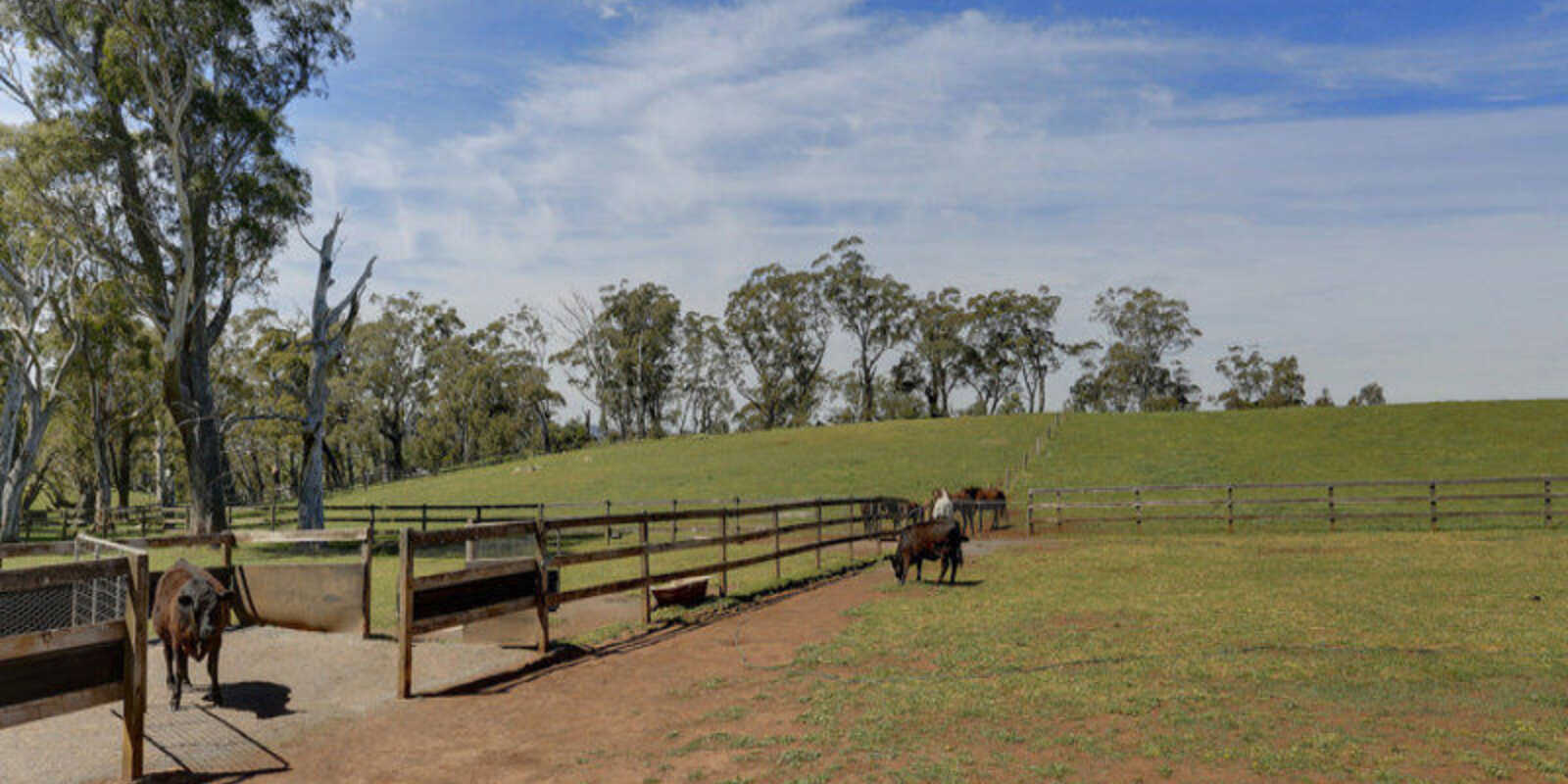 Bibby's Lane Moss Vale Bibby's Lane Moss Vale