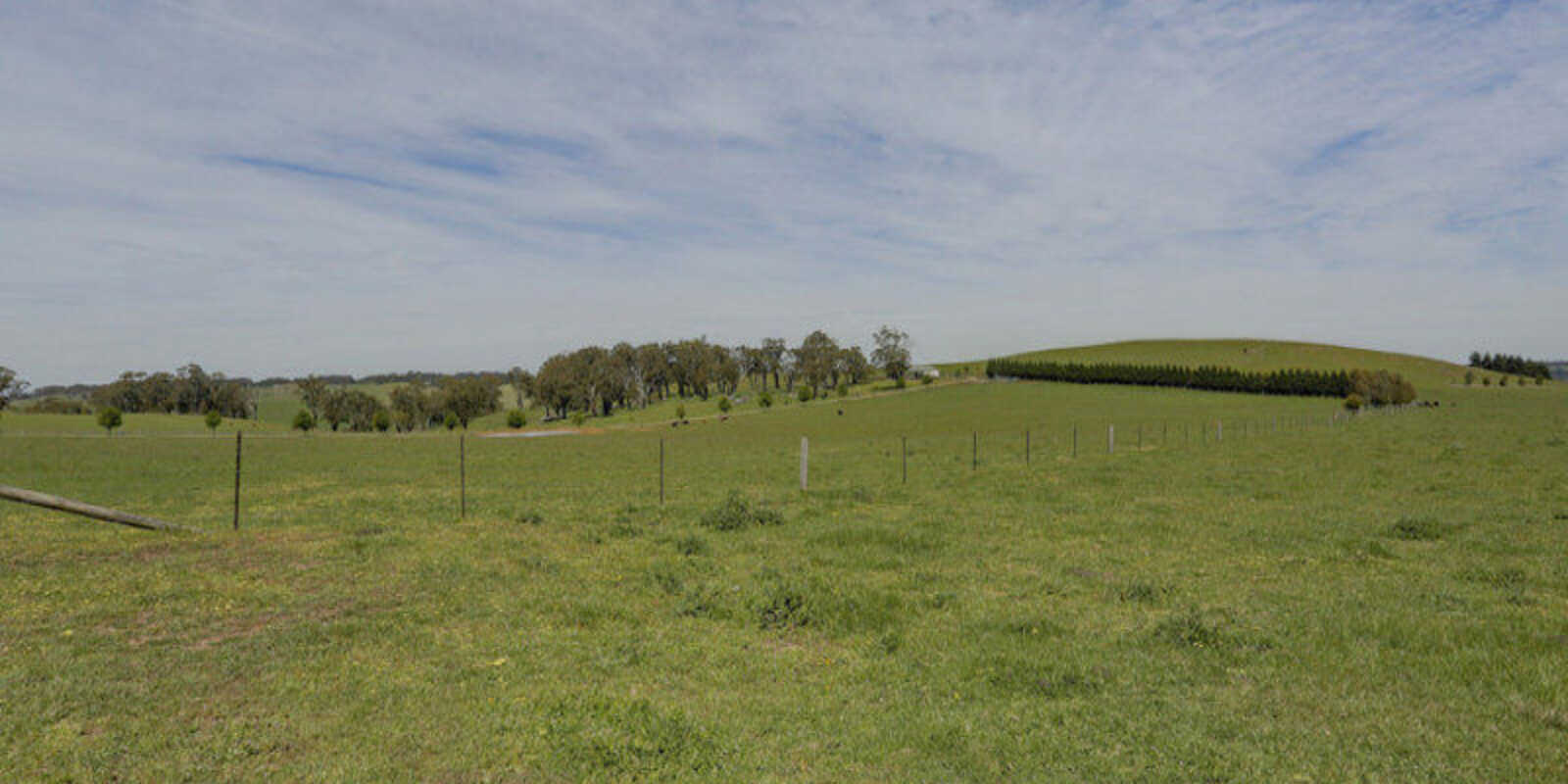 Bibby's Lane Moss Vale Bibby's Lane Moss Vale